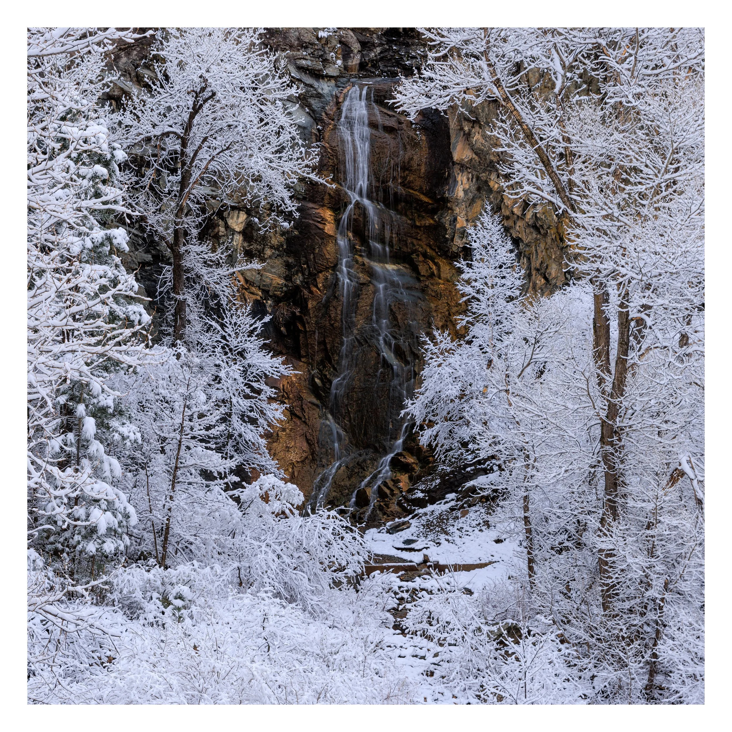 Snow Flocked Trees and Waterfall