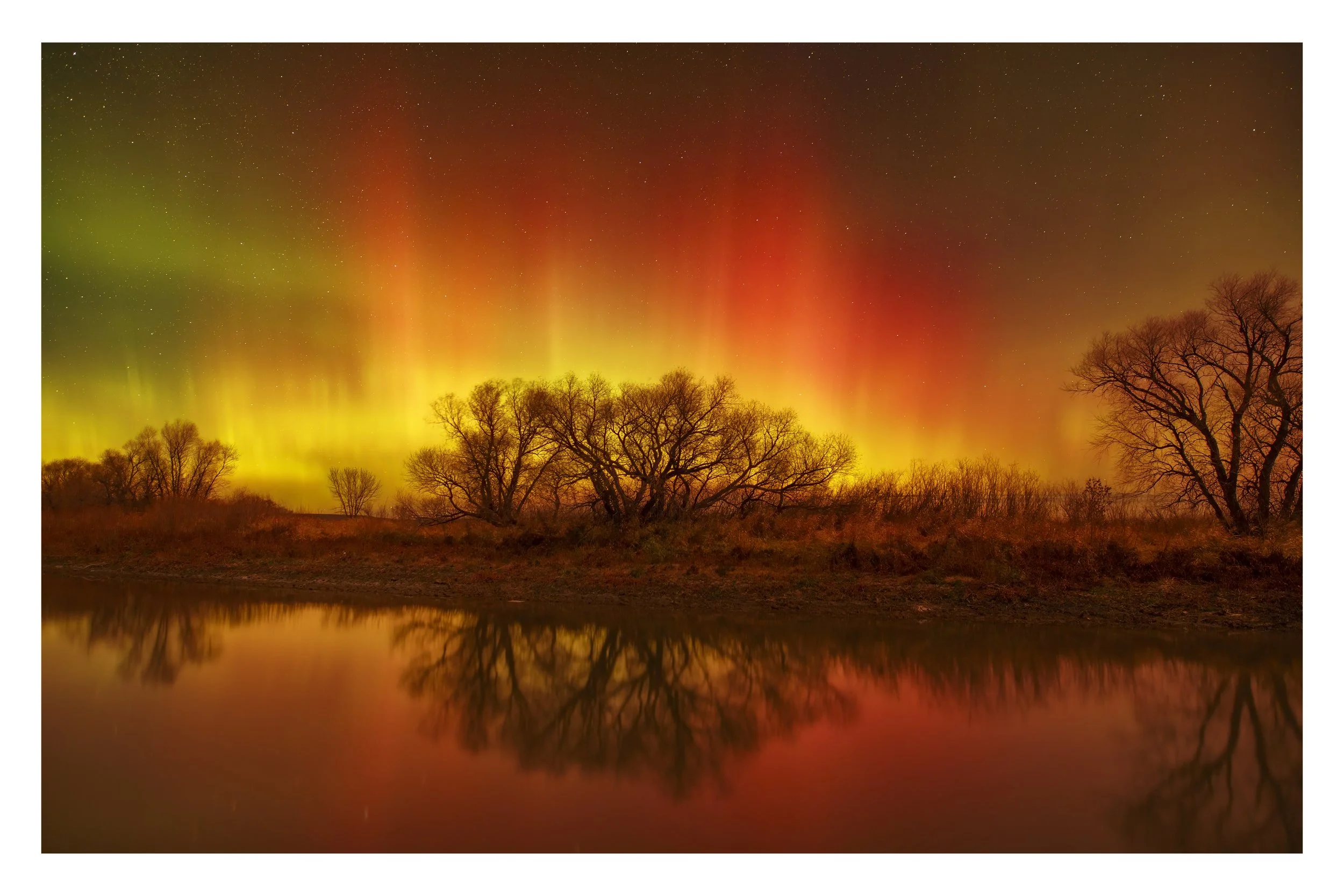 Aurora Over Tree Lined Creek