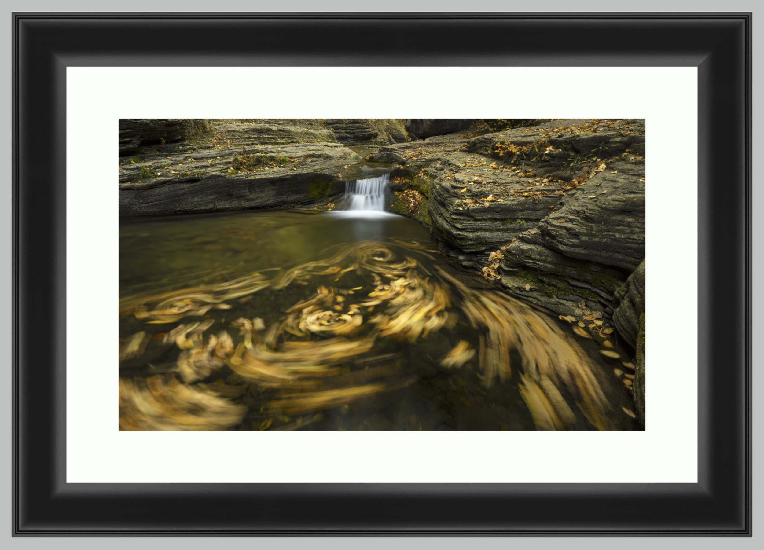 Autumn Leaves Swirling in Creek