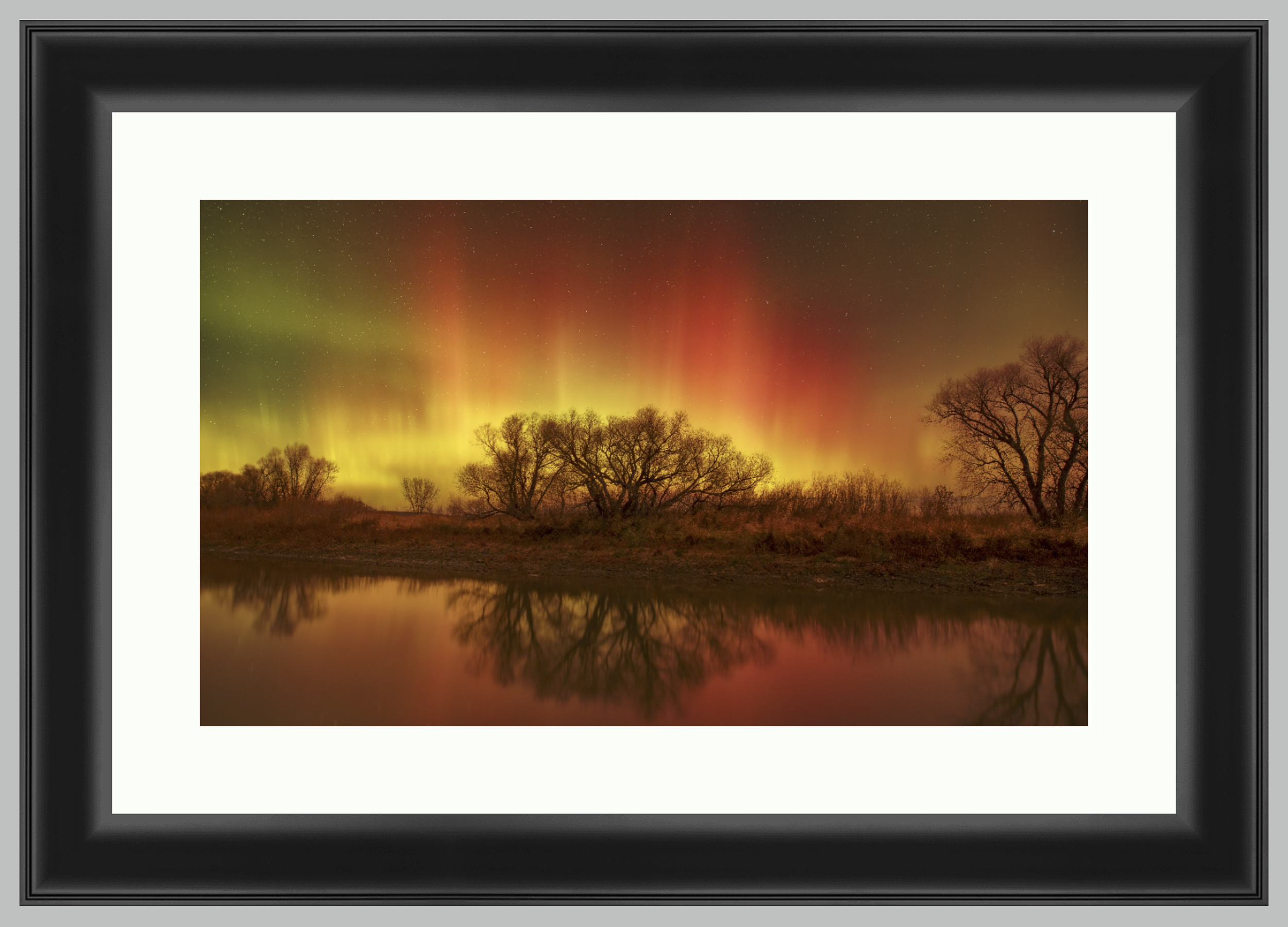 Aurora Over Tree Lined Creek