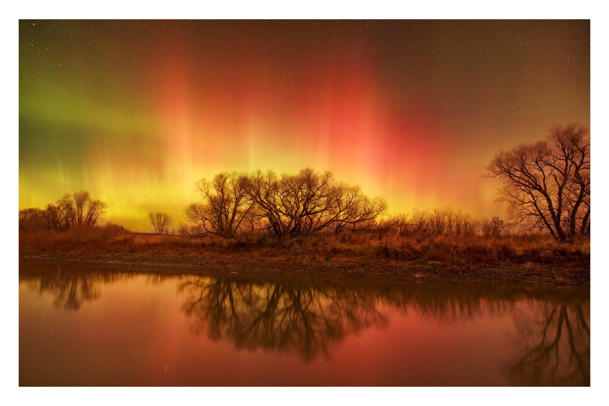 Aurora Over Tree Lined Creek