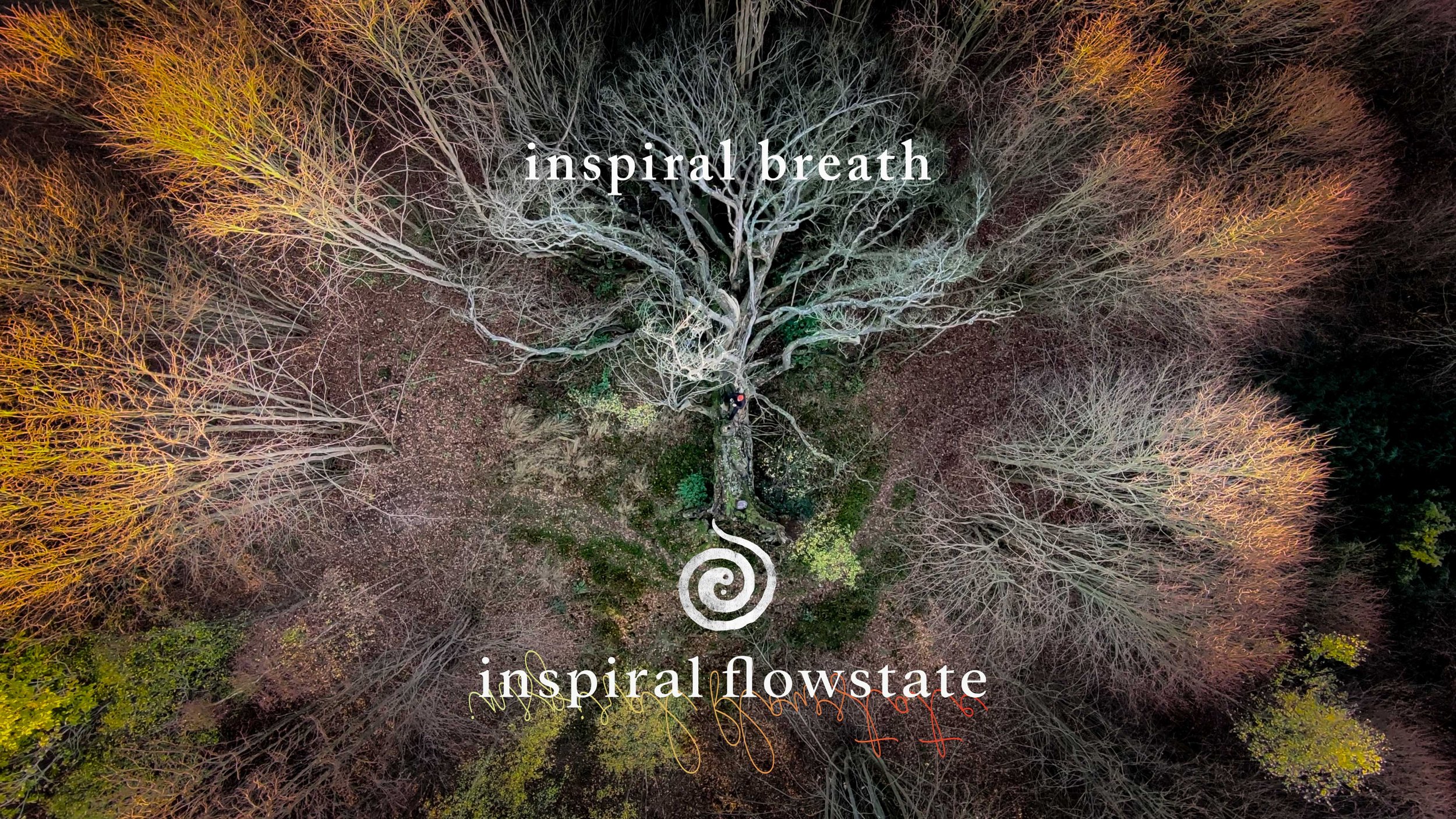‘Inspiral Breath’/’Aligned with True True’ Music