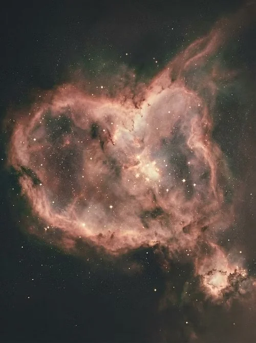 Seeded Union Session