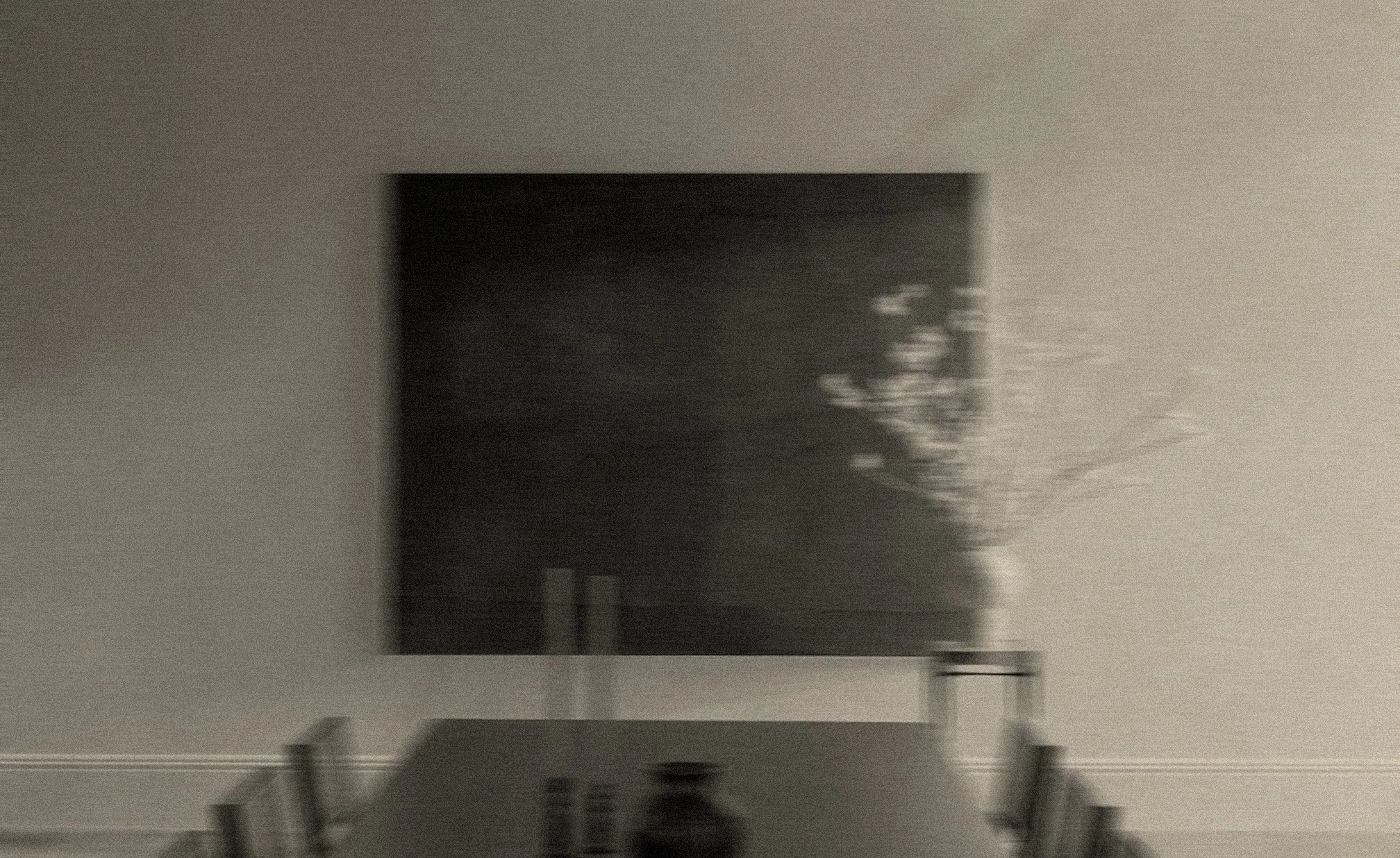 Blurred black and white photograph of a shadowed wall with indistinct shapes and a plant in the corner.