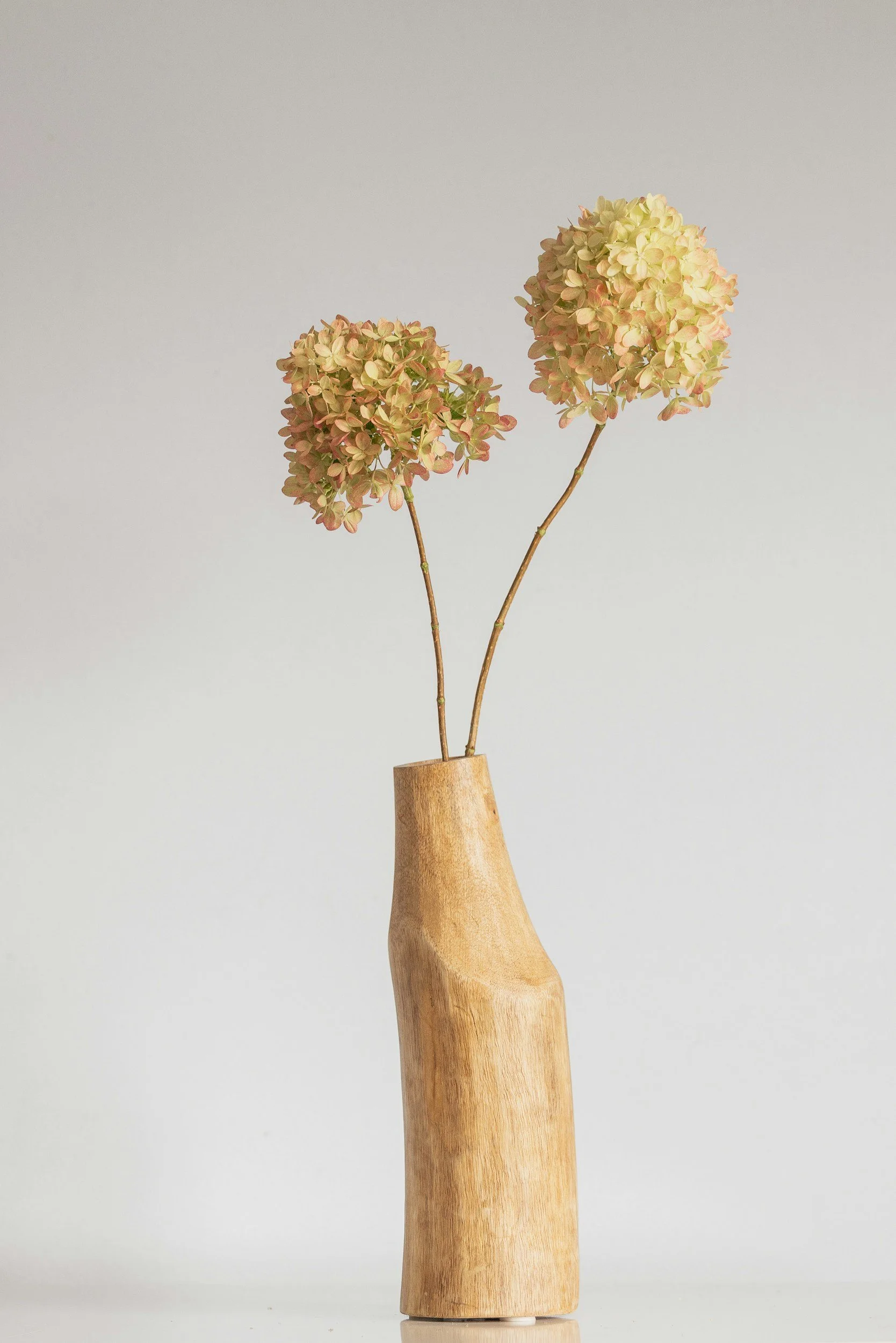 A wooden vase holding two dried hydrangea flowers against a plain, light gray background.