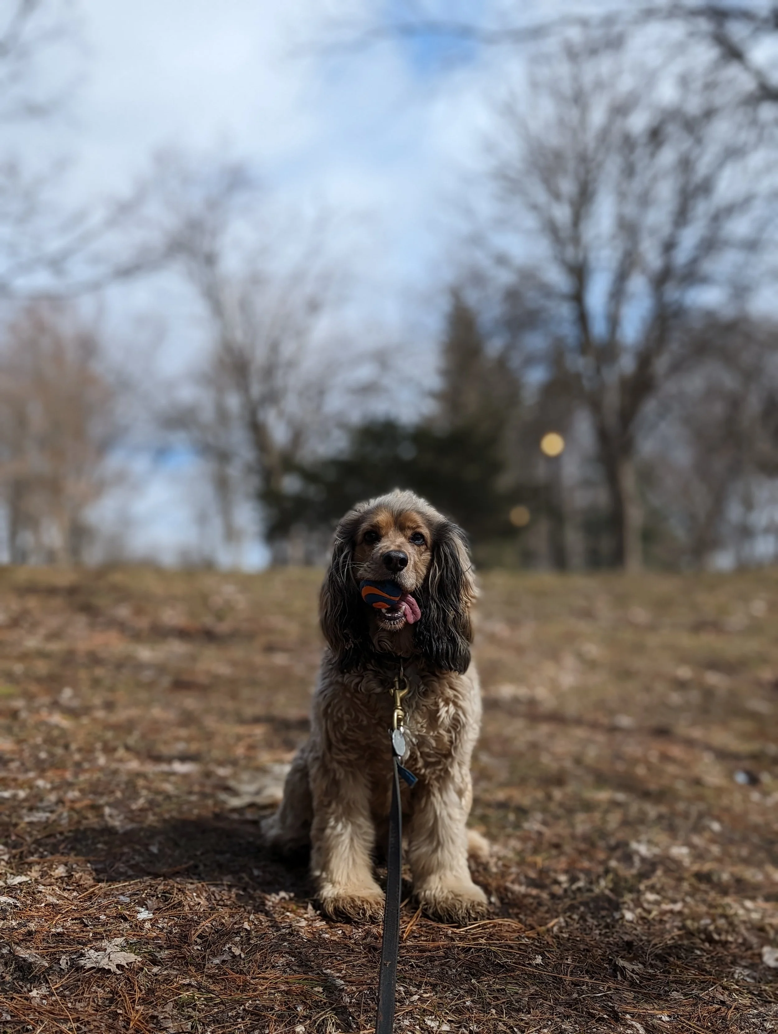 Tosca