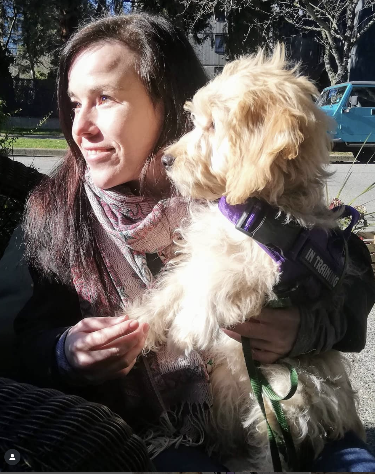 Starter Pack Assement and Training plan