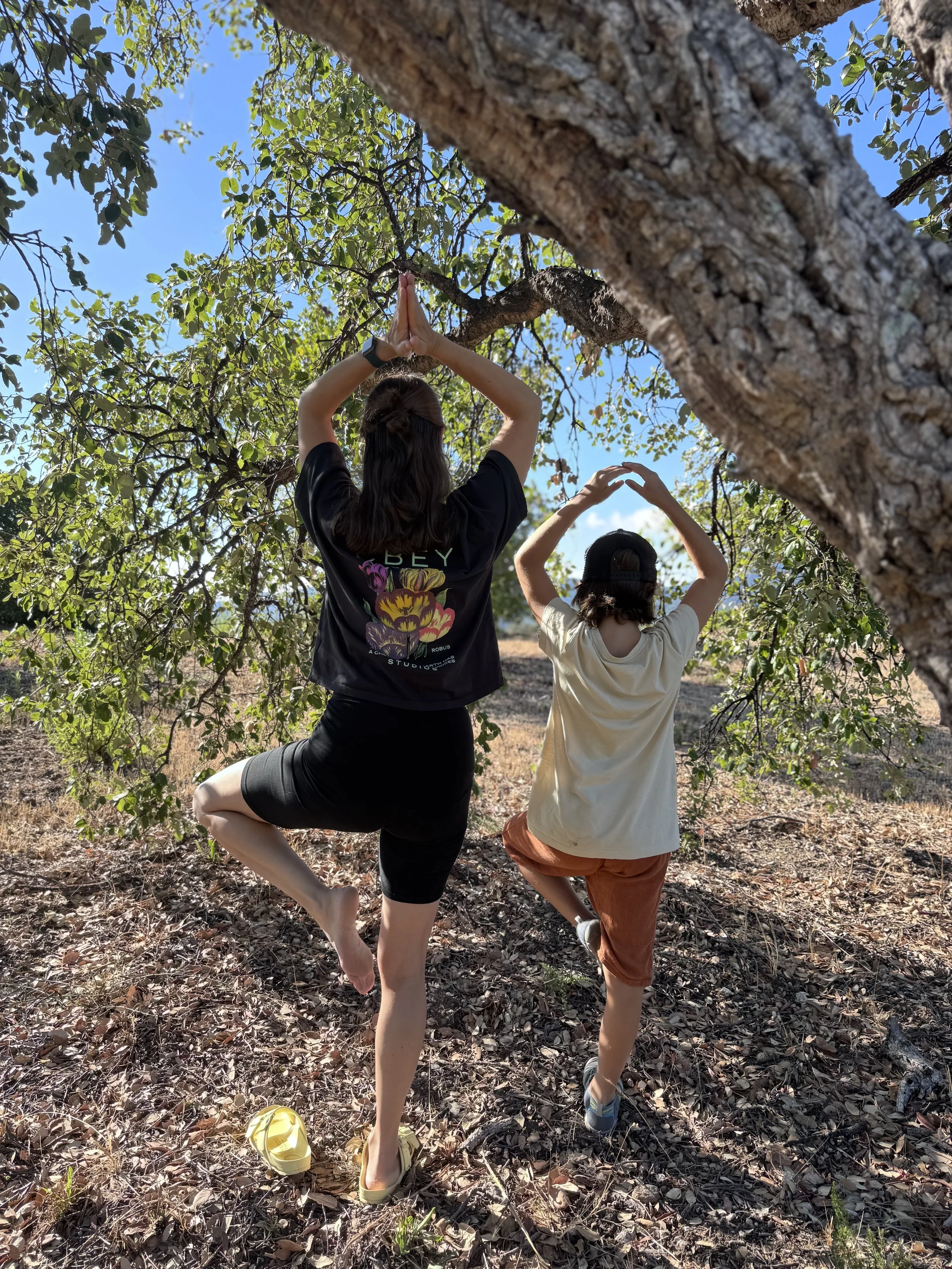 Mutter und Sohn stehen auf einem trockenen, belaubten Boden unter einem Baum und machen Yoga im Freien. Sie sind in der  Yoga-Pose "der Baum" mit den Armen über dem Kopf, in einem Waldgebiet bei sonnigem Wetter.