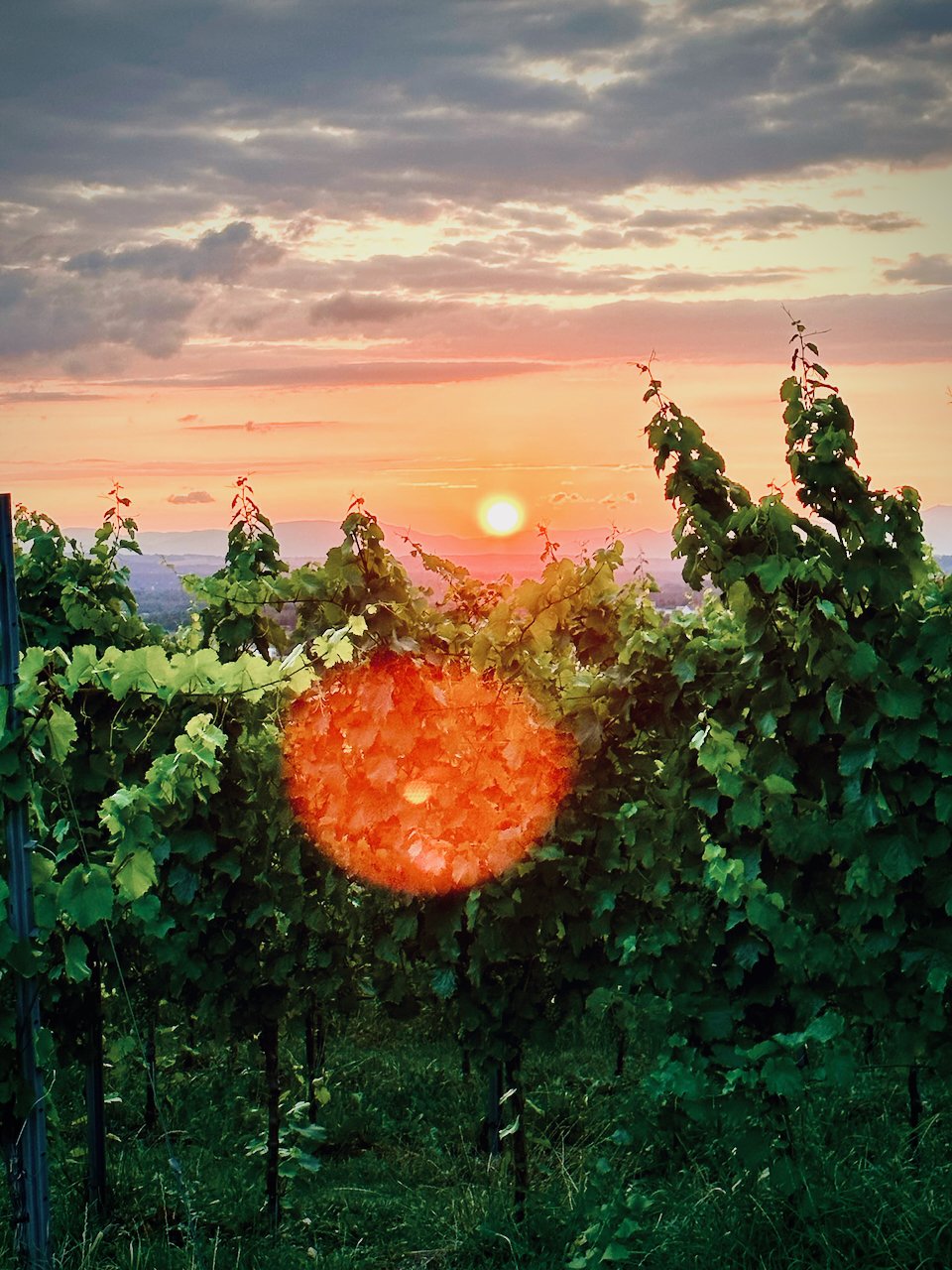Abendlicher Sonnenuntergang als Symbol für Ruhe und Entspannung. Das wird auch durch Yoga in Binzen mit Stefanie Drobnik erreicht