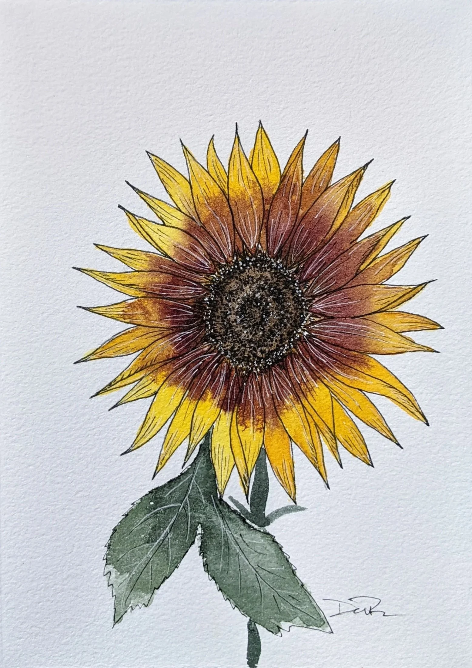 Watercolor on paper
Sunflower
SOLD