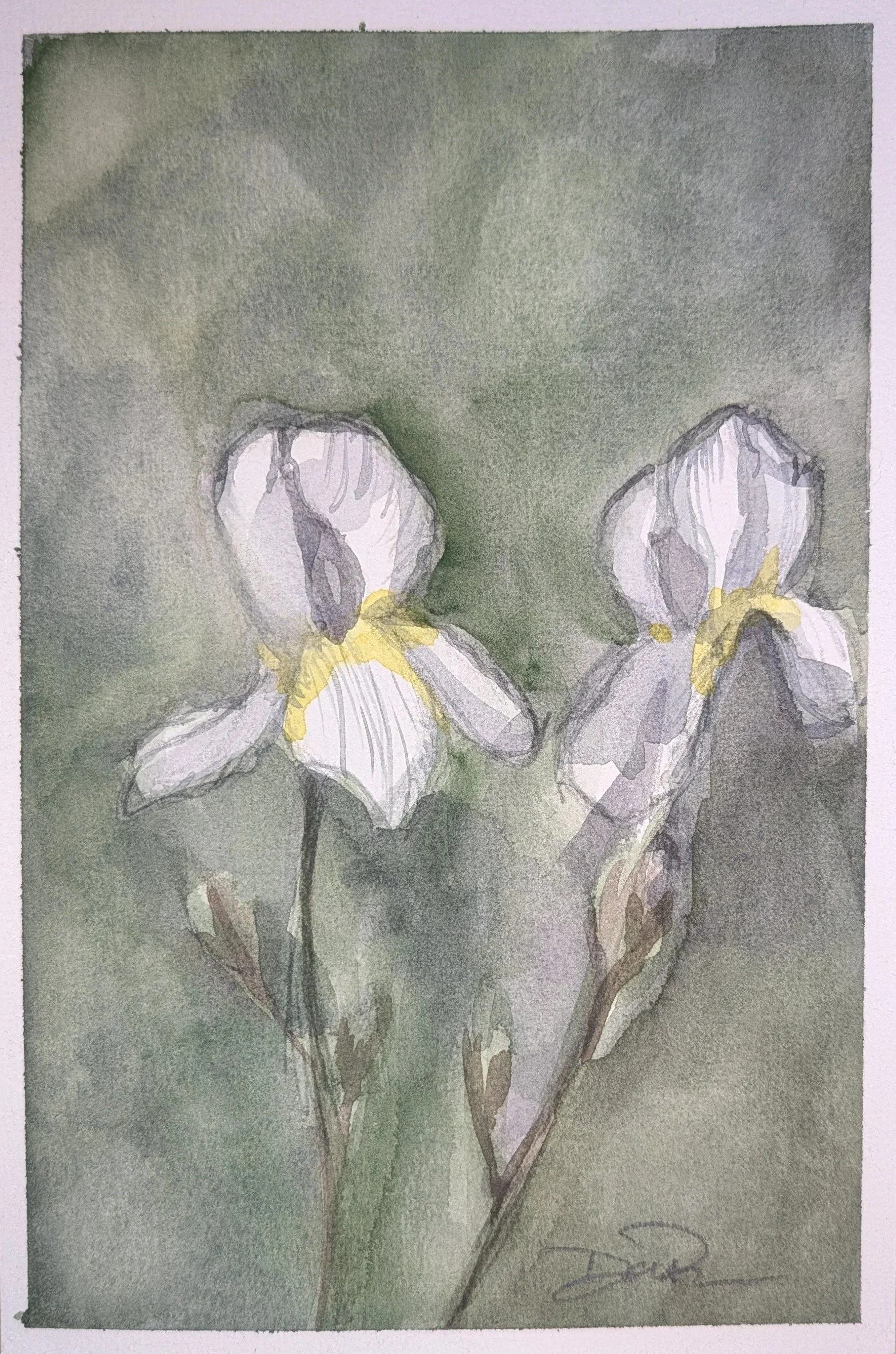 7" X 5" Plein Air Watercolor AVAILABLE