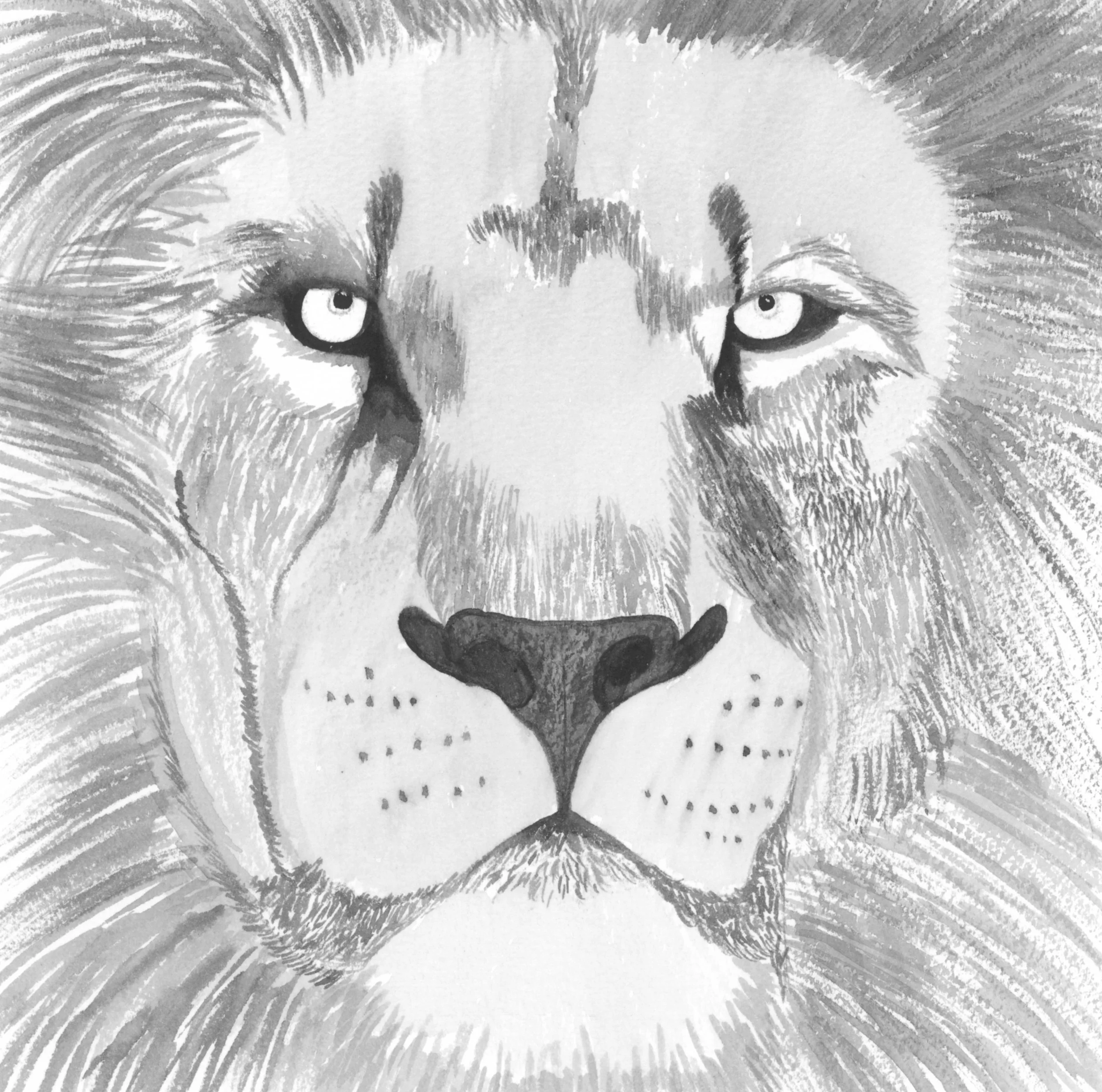 b&w lion head scan.jpg