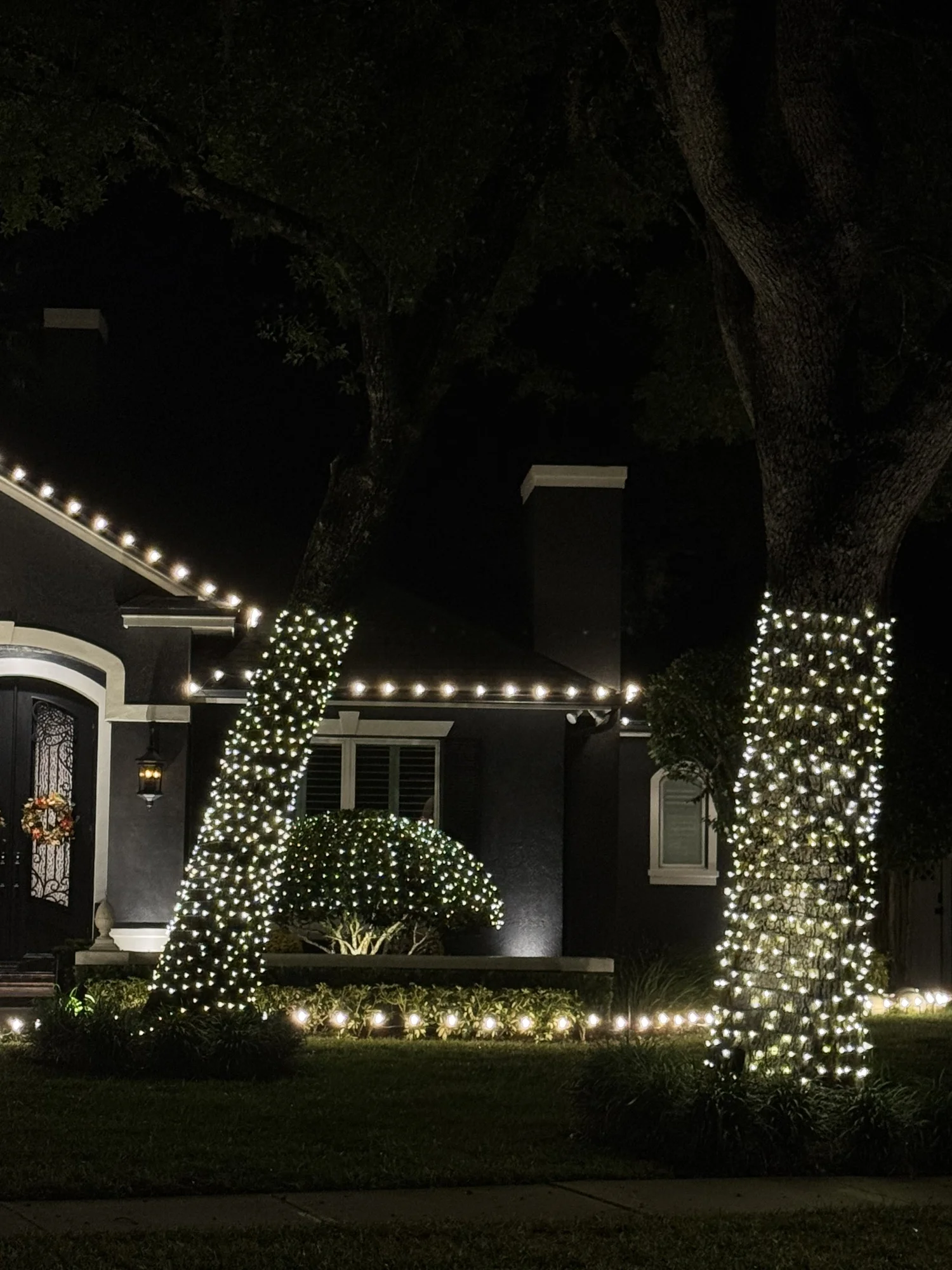Large trees and landscape wrapped with elegant white holiday lights