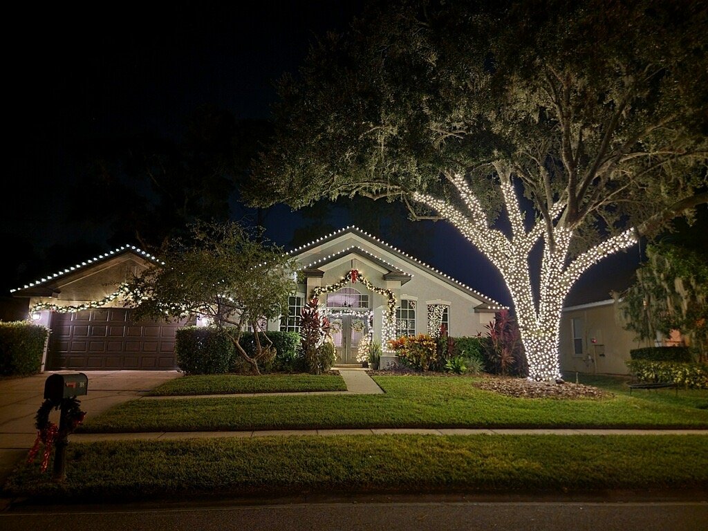 Custom roofline and mature oak tree wrapped in warm white Christmas lights