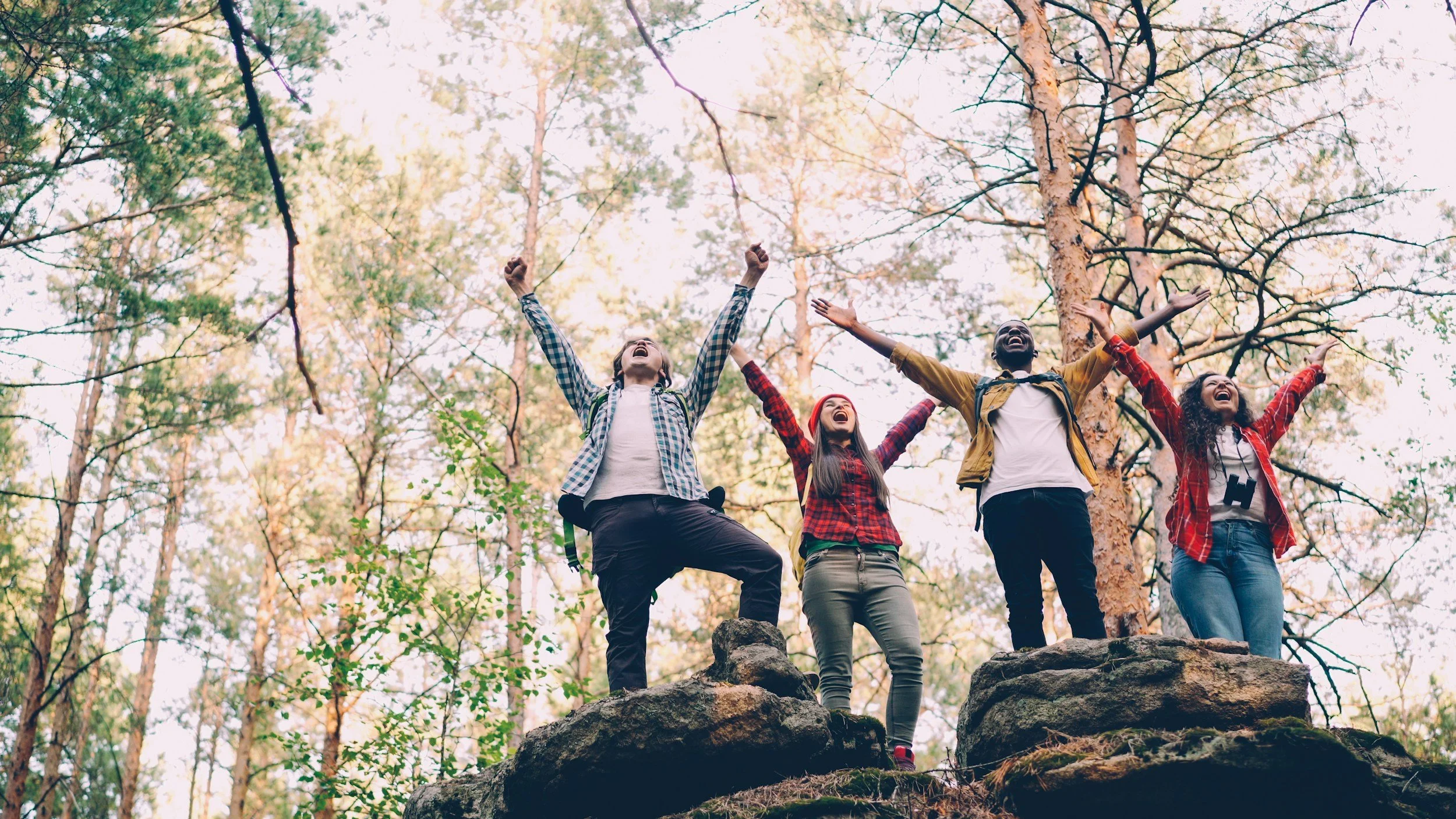 Four friends standing triumphantly on rocks in a forest with trees, arms raised and smiling.