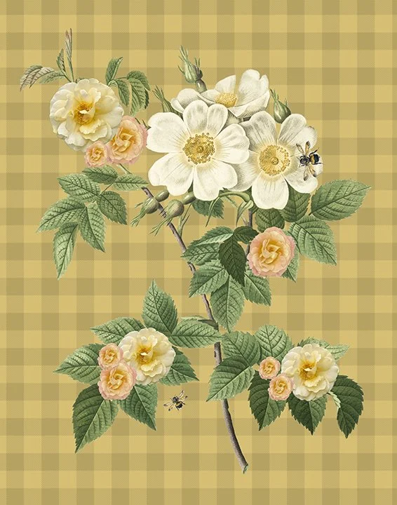 Time for the great rest