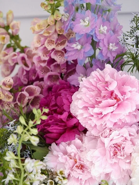 I&rsquo;m worried about my spring garden. We have never lived anywhere that reached single-digit temperatures and experienced 11&rdquo; of snow in one day. There are hundreds of tulips, poppies, ranunculus, roses, daffodils, hydrangea, hellebores and