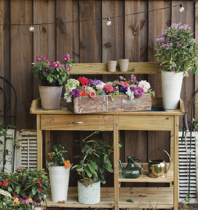 Where will flowers take you?