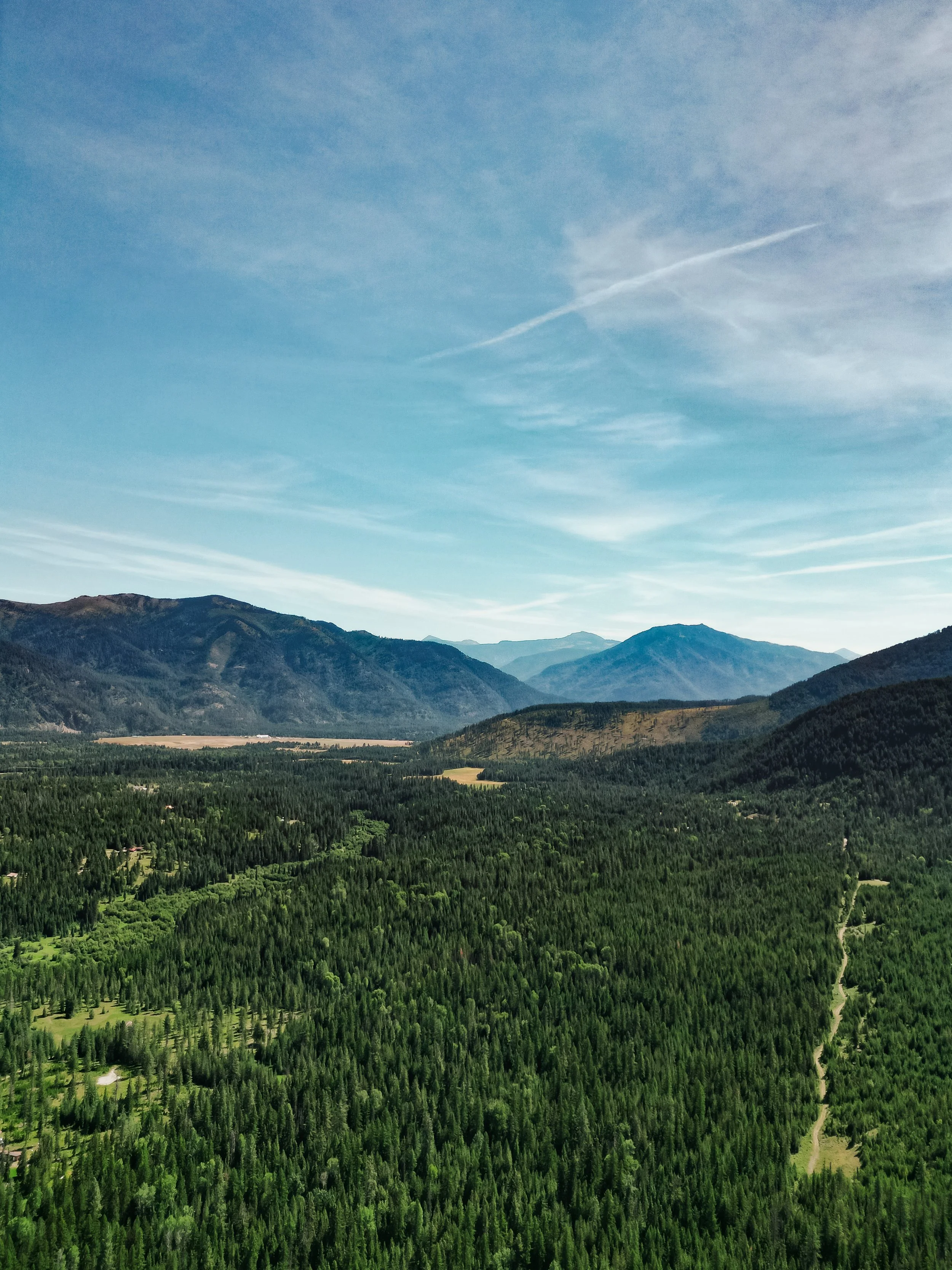 Aerial view of a lush green forested valley with mountains in the background under a blue sky with wispy clouds. Where Cub Saunas was founded.