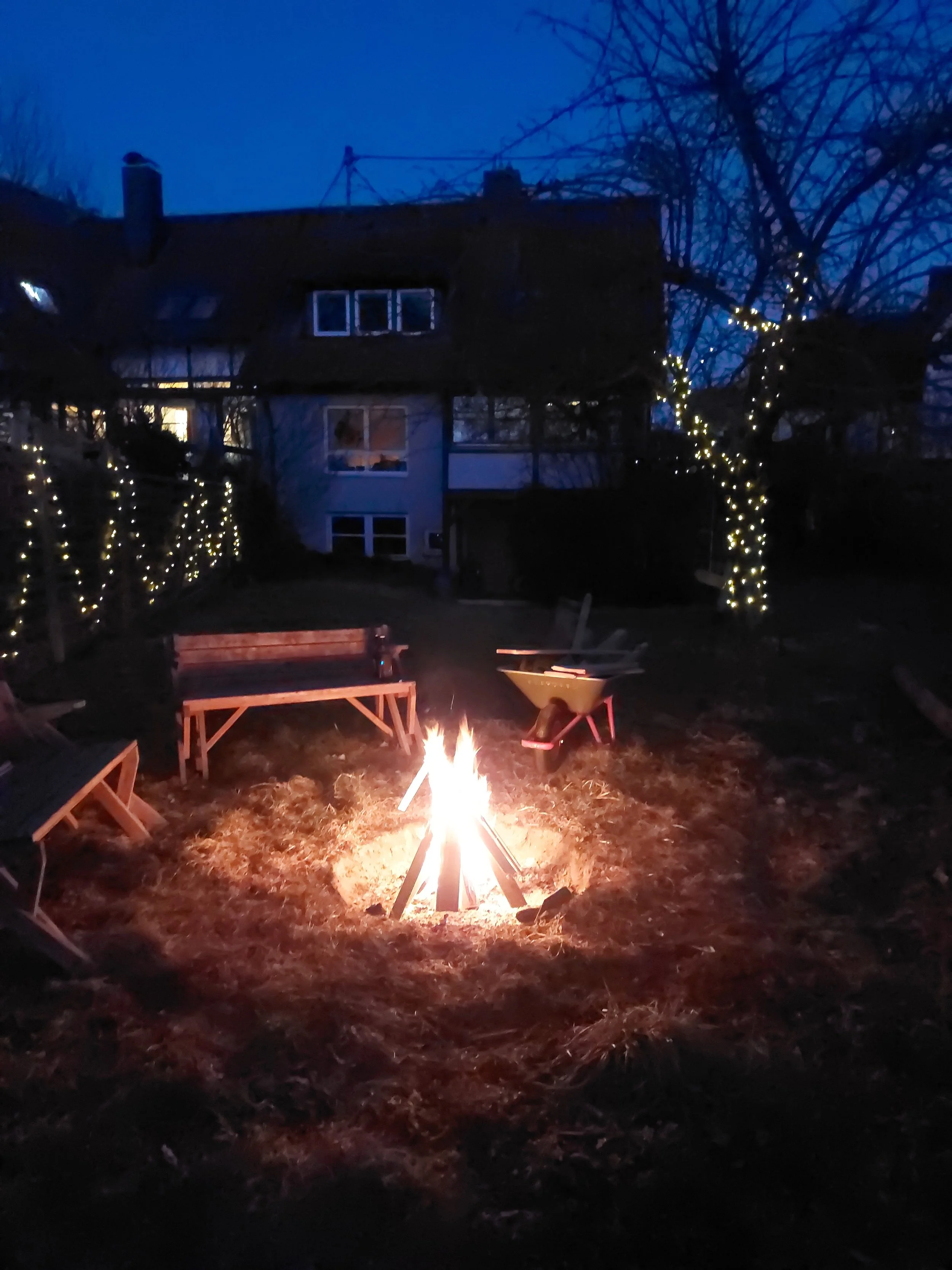 Kindergruppen/Geburtstage in der Natur