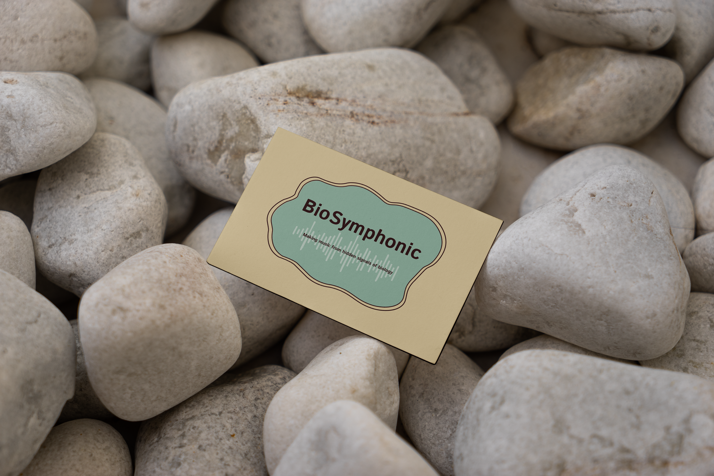 Front of business card mockup.png
