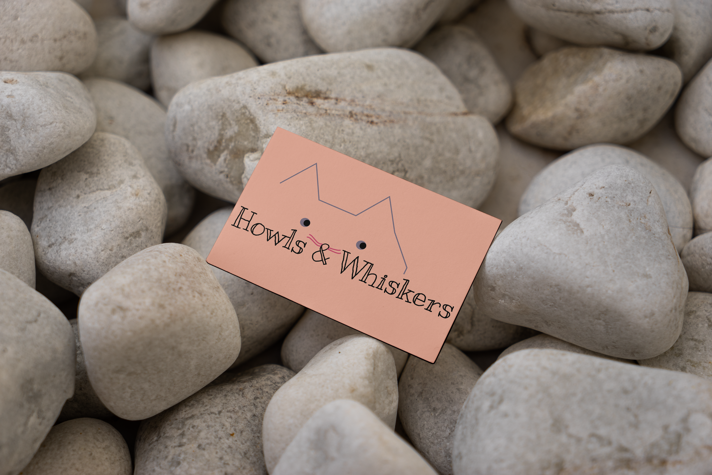 howls and whiskers business.png