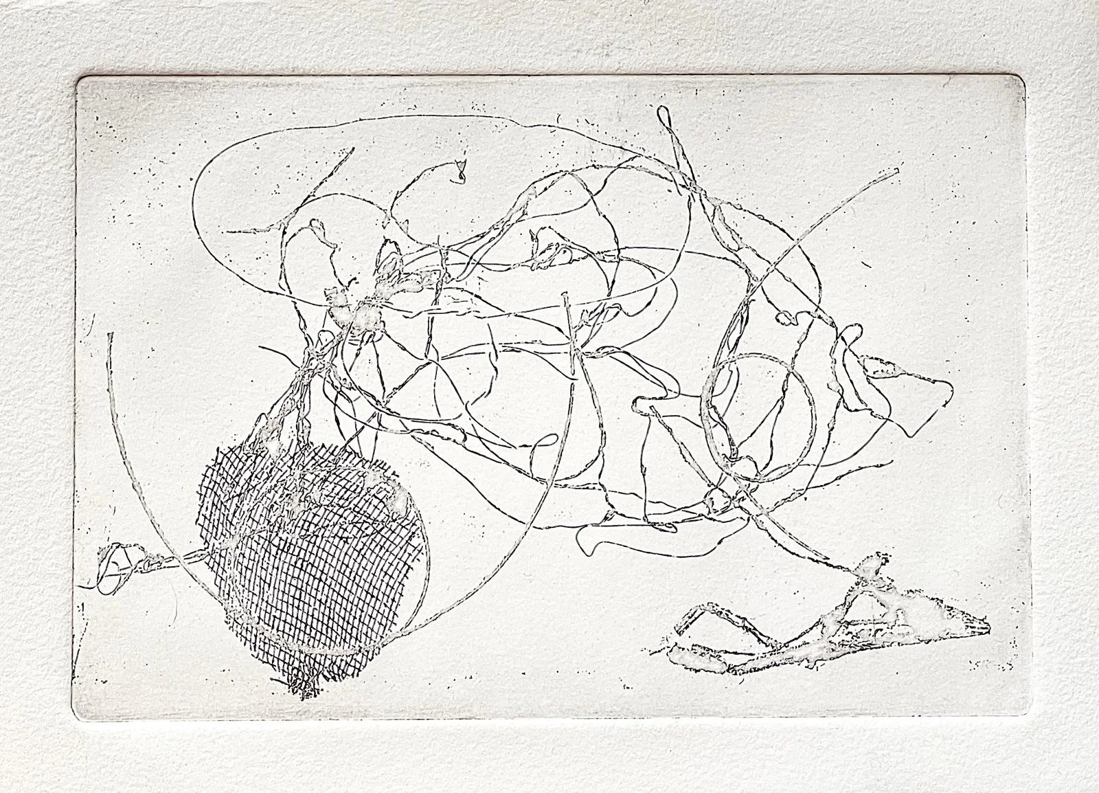 h.jpeg