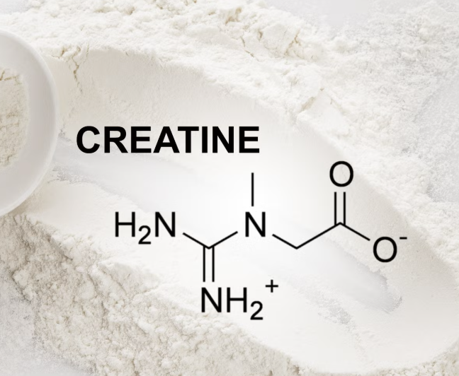 Creatine Dosage, Benefits, and Safety: The Ultimate Guide to Maximizing Muscle and Cognitive Health