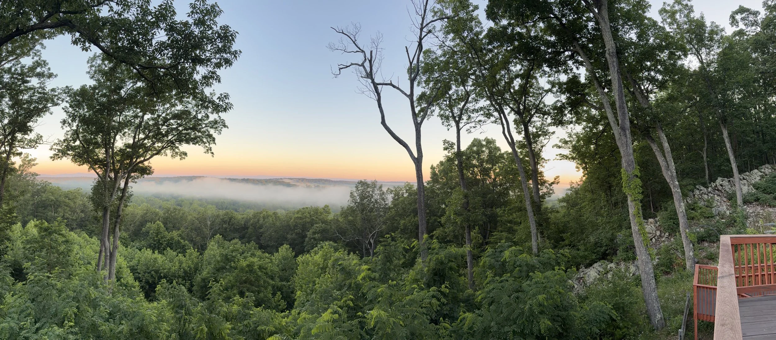 5 Local Trails in Wake Forest &amp; How to Prevent Ankle &amp; Knee Strain