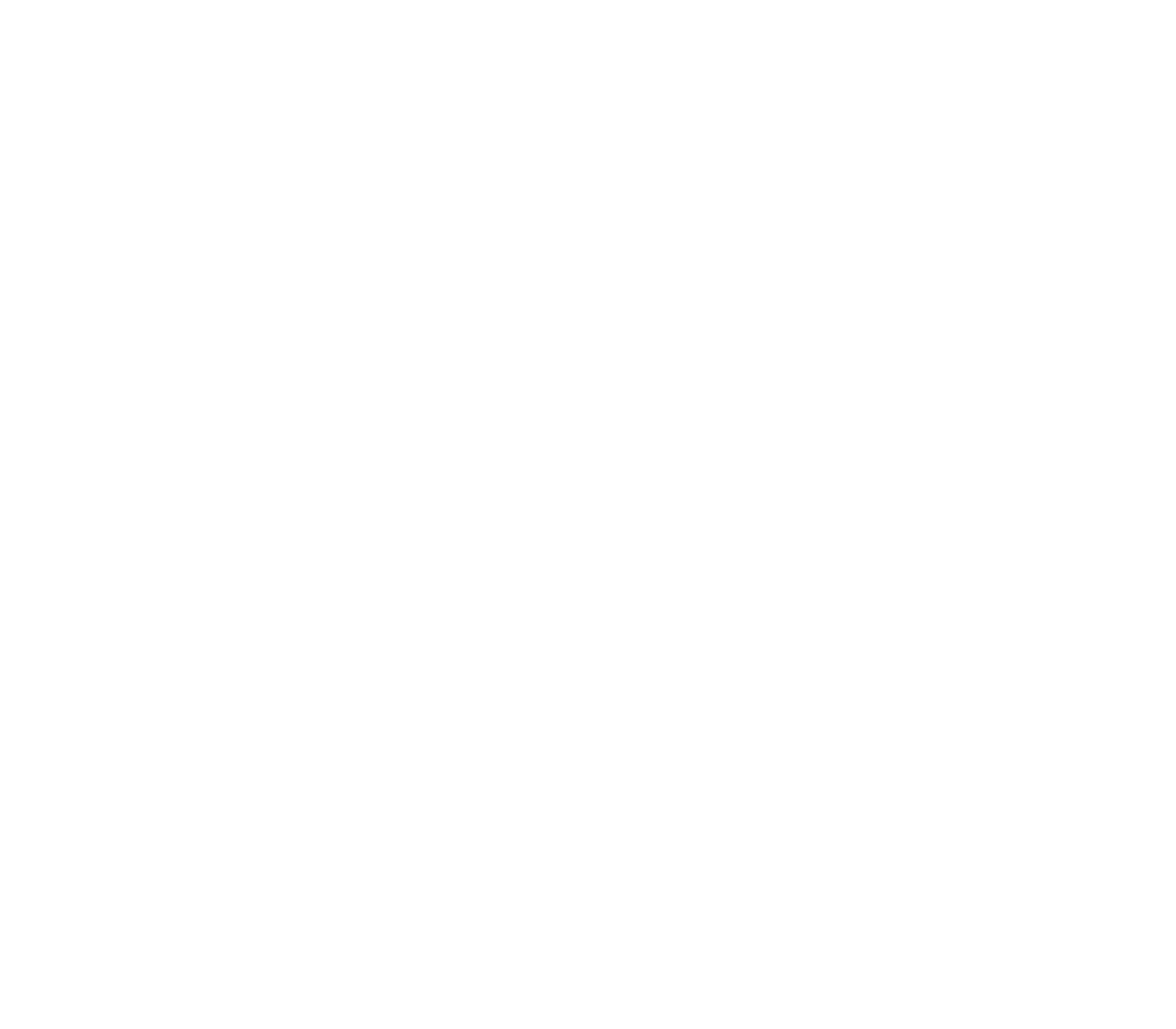 Programs Women's March