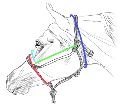 Why I’m a Tack Consultant Who Sells Product (Not the Other Way Around)