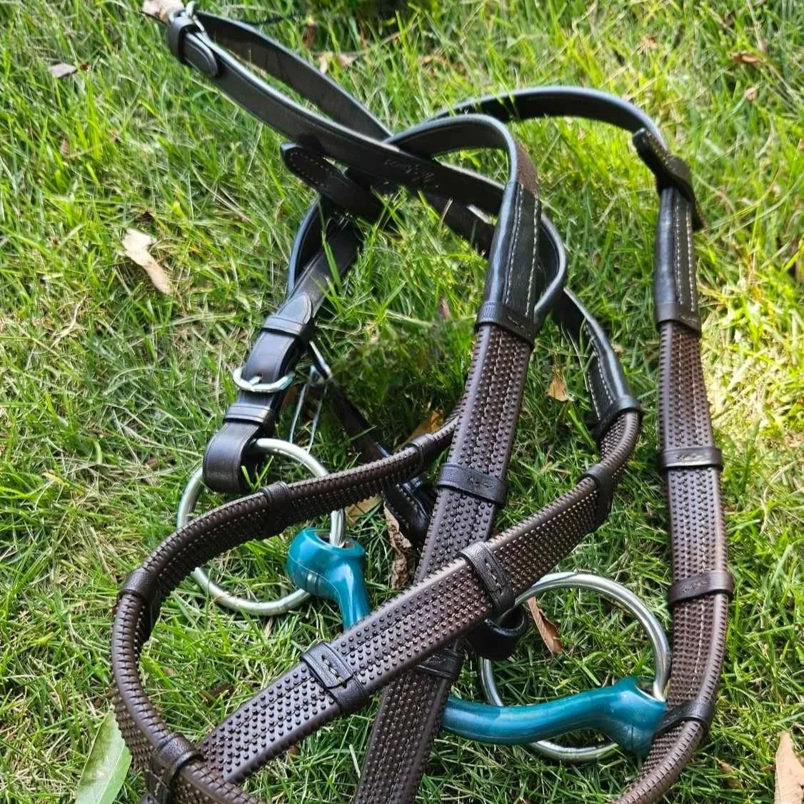Vespucci Edwina Jumper Reins with rubber grip attached to a loose ring bit, shown on grass