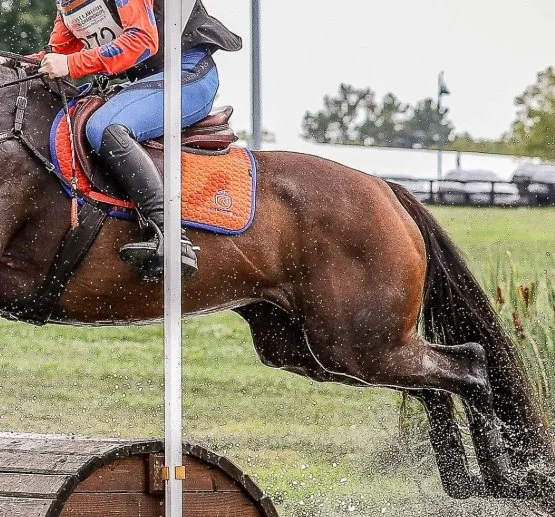 Team Geven Eventing XC Saddle Pad