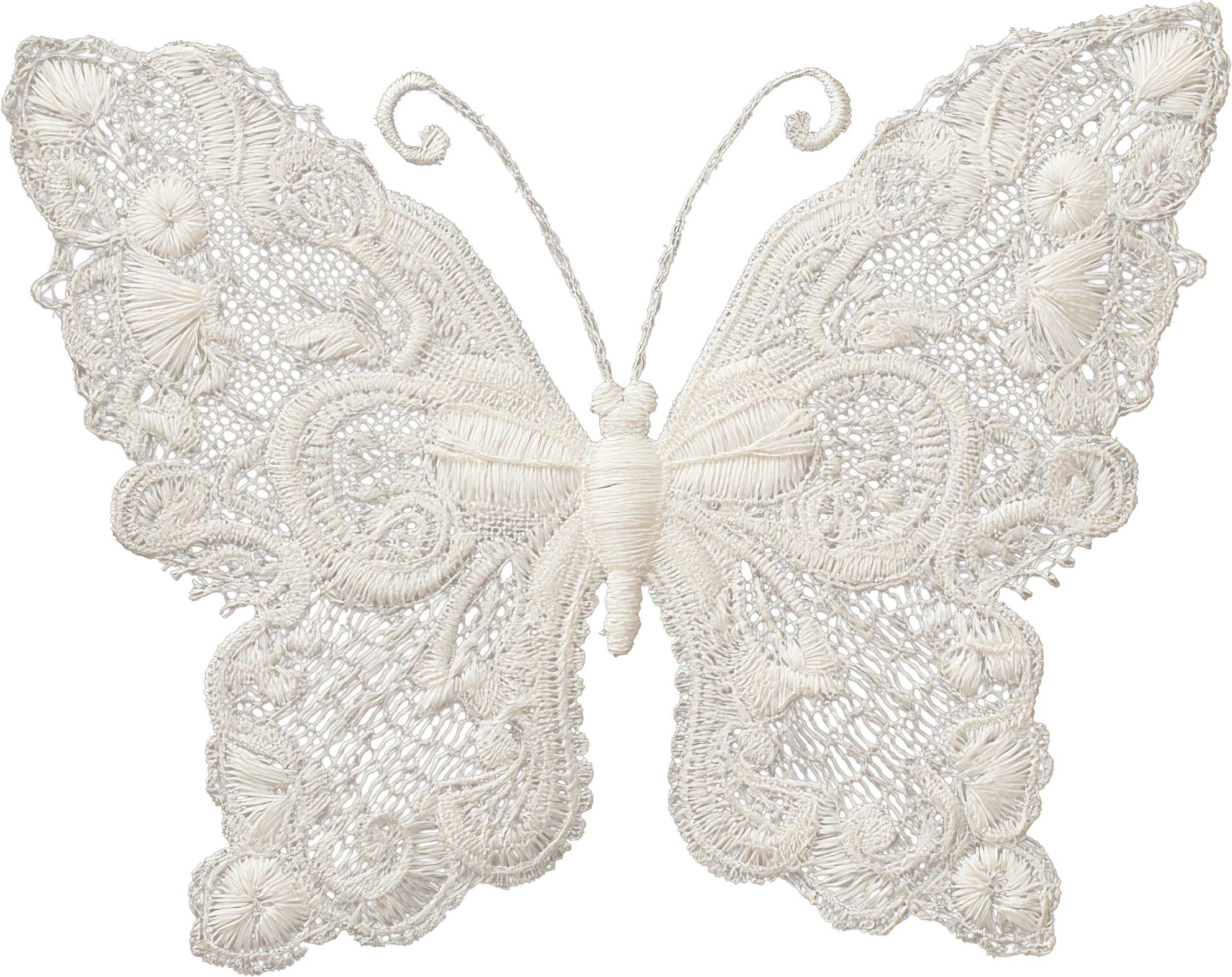 butterfly1.png