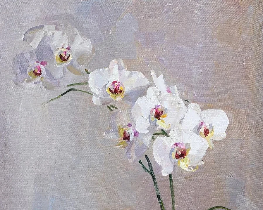 white-orchid-victoria-kharchenko.jpg