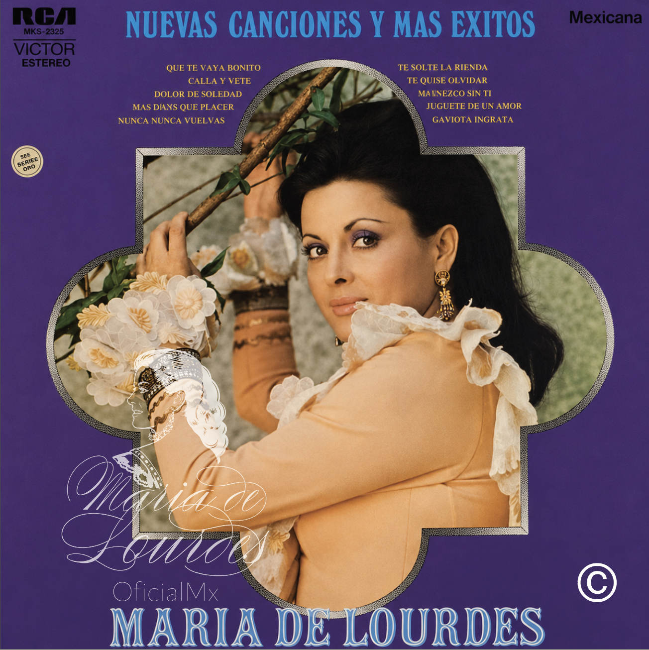 © 2026 María De Lourdes - OficialMx