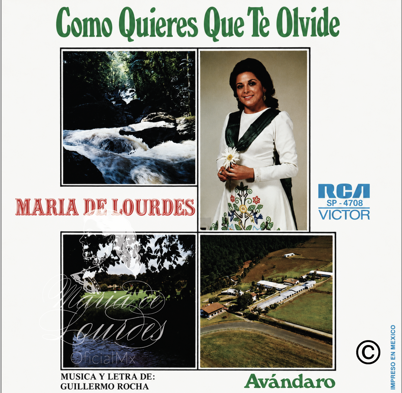 © 2026 María De Lourdes - OficialMx
