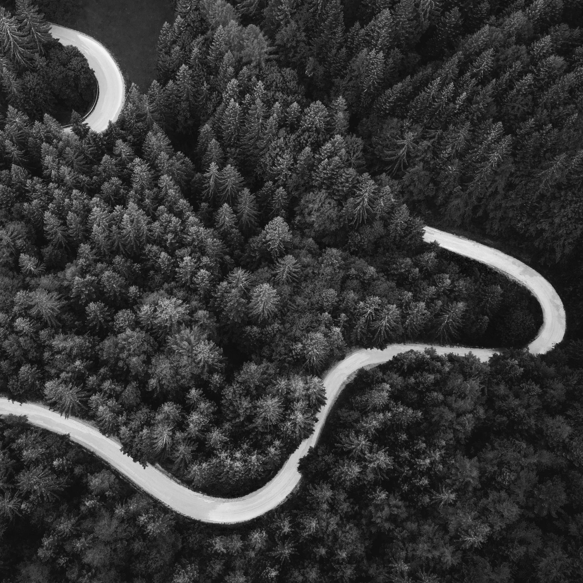 How We Partner with Management to Solve Liquidity Shortfalls