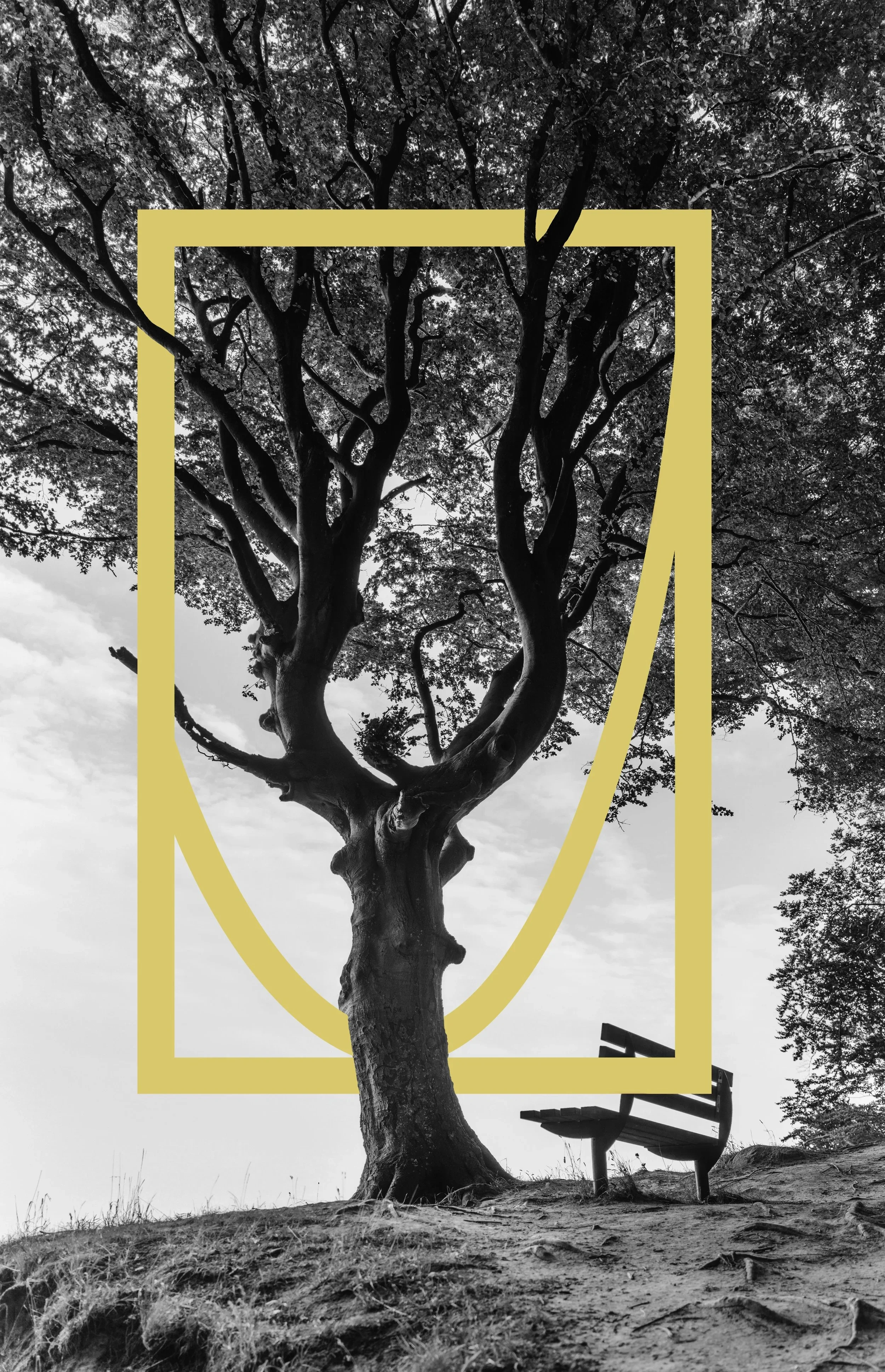 Silverman Consulting Expands Headcount and Embraces a Promising Future