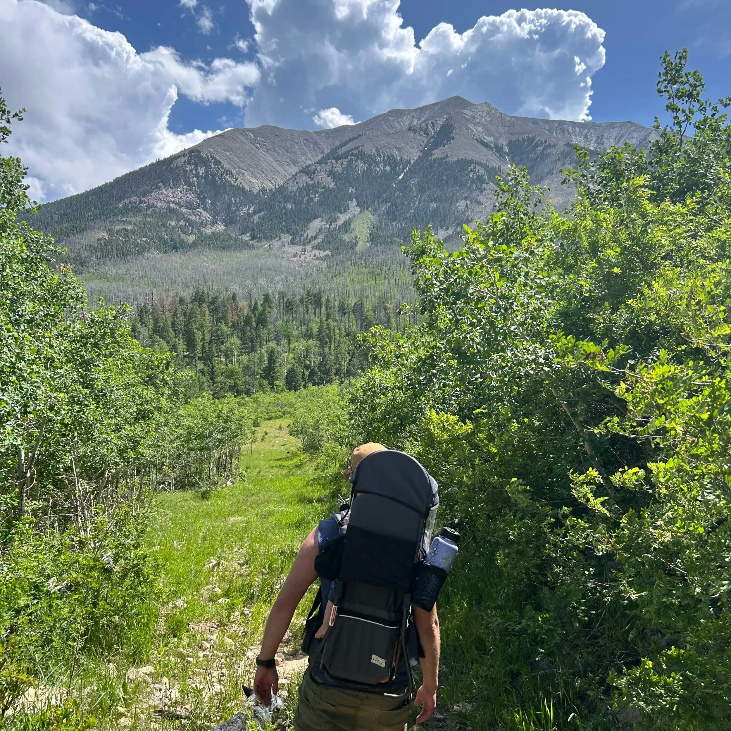 Should I stay or should I go (getting the youth involved)