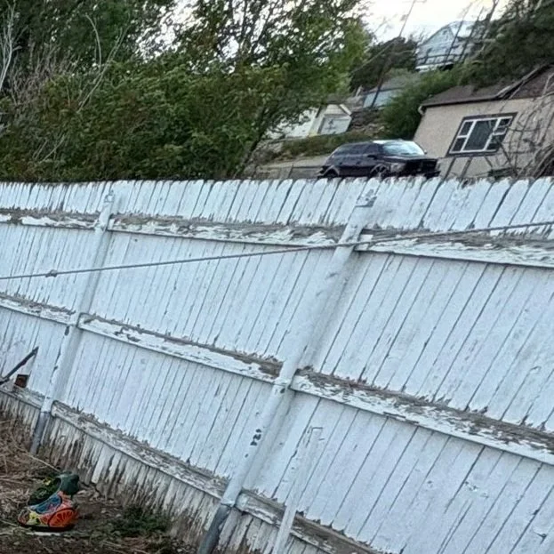 And then there’s the fence. . . 