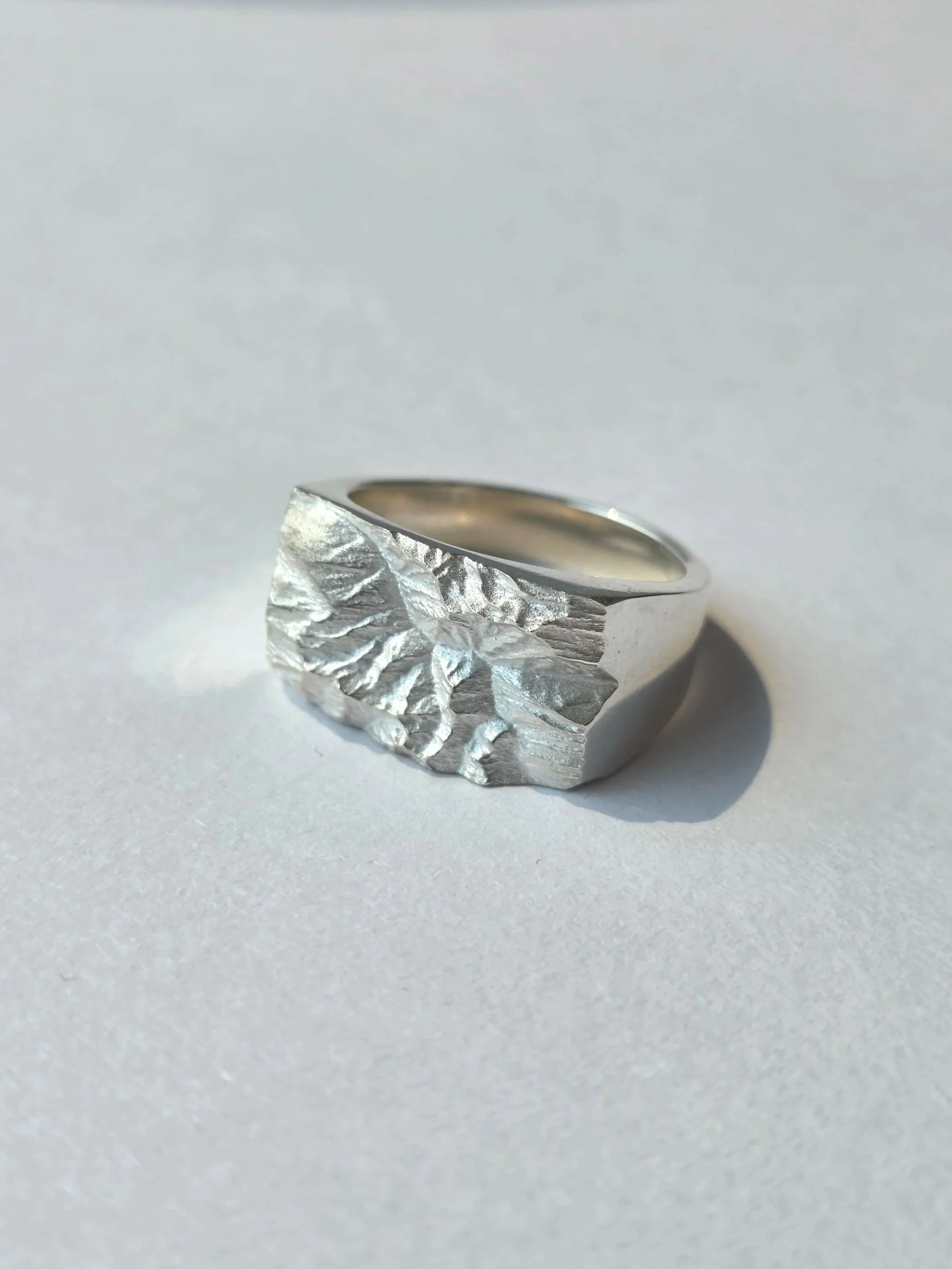 Custom mountain range ring
[other]