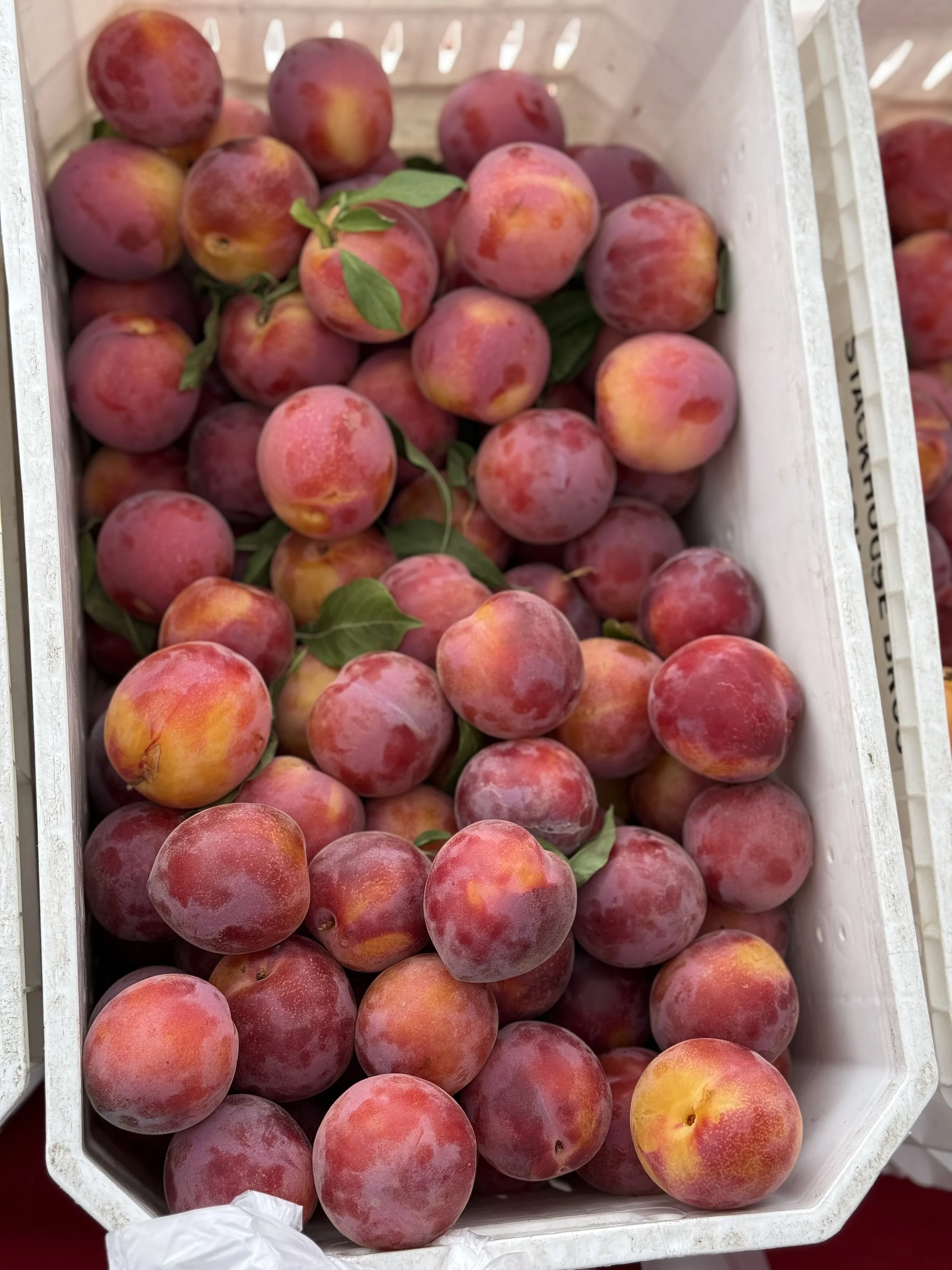 Fresh peaches with green leaves in a white plastic crate.