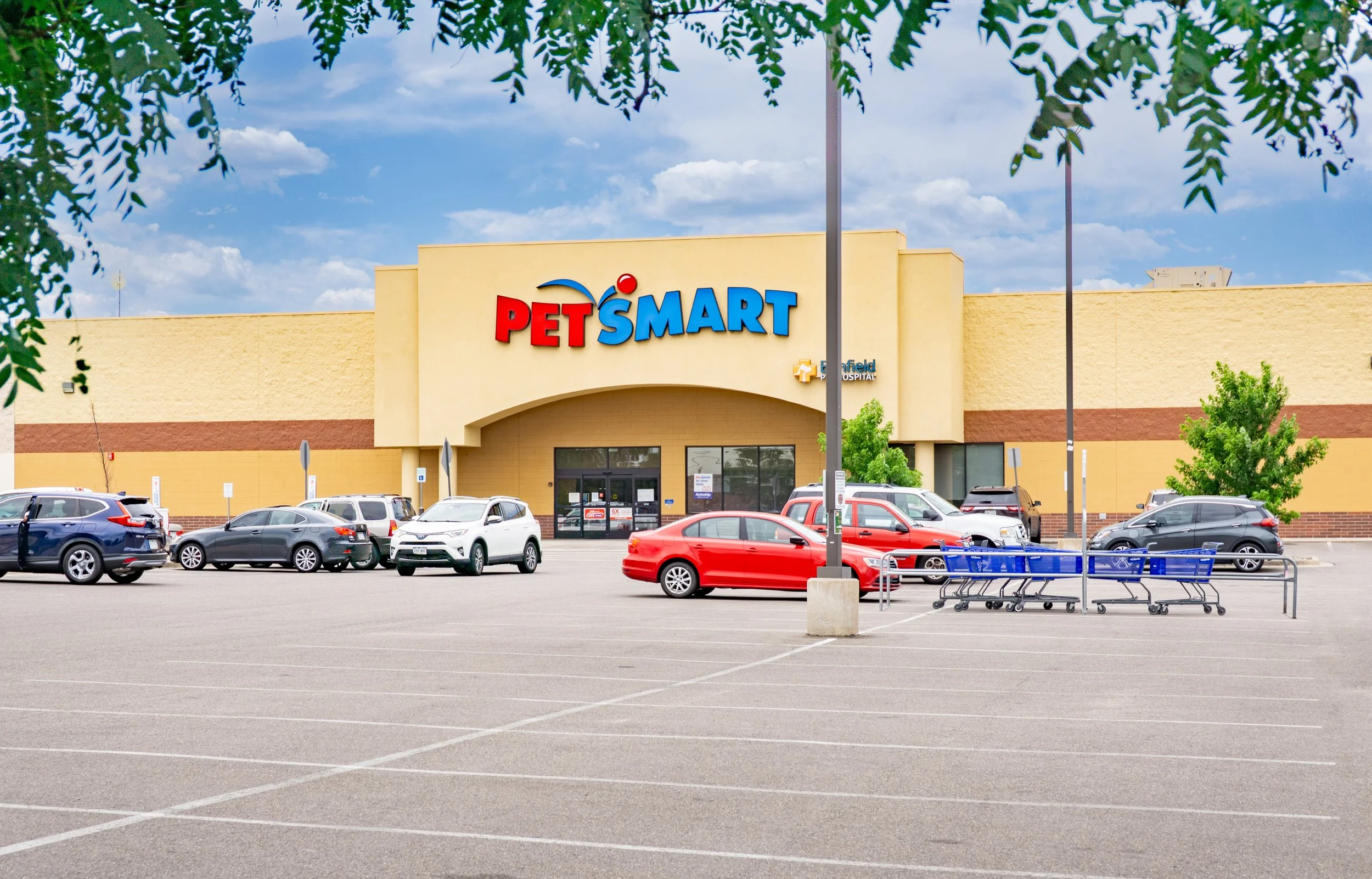 PetSmart through the trees smaller.jpg