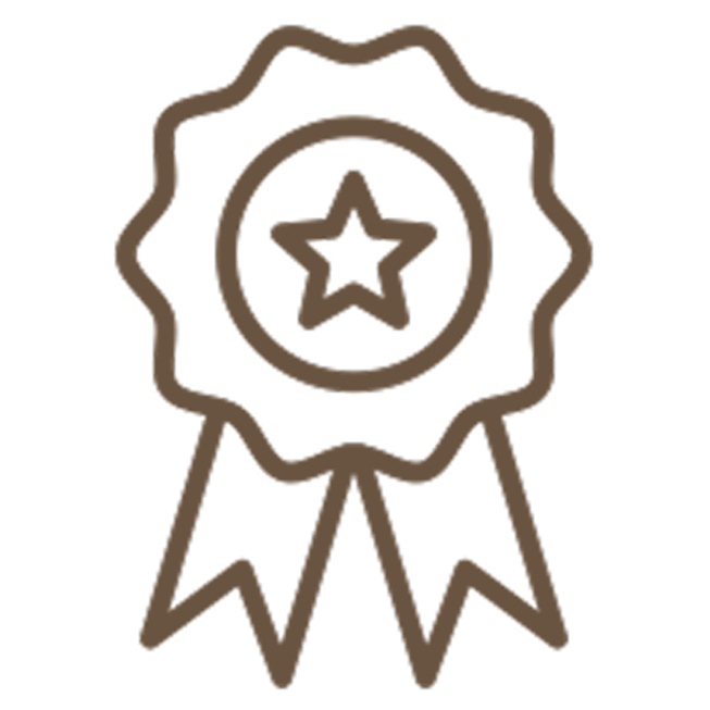 Outline drawing of a ribbon award with a star in the centre and hanging ribbons at the bottom.