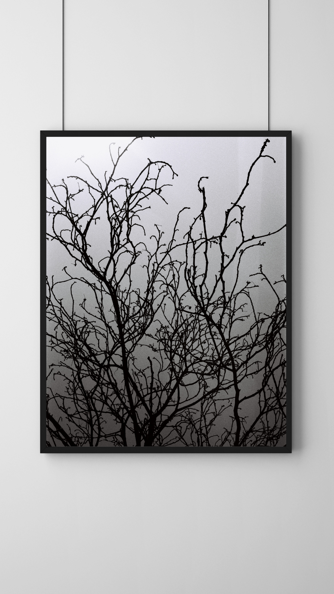 Grey Minimalist Botanical Photo Frame Mockup copie.png