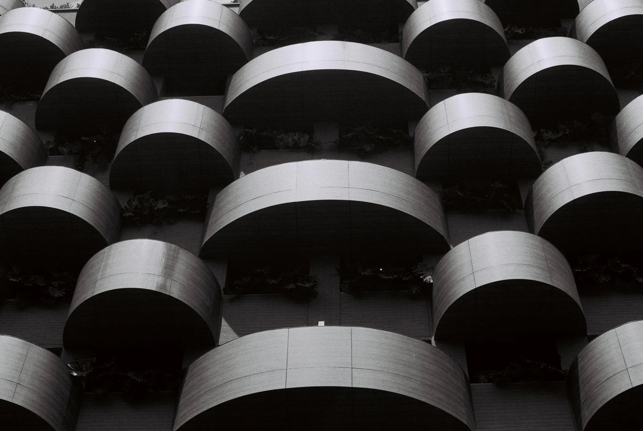 Structure.jpg