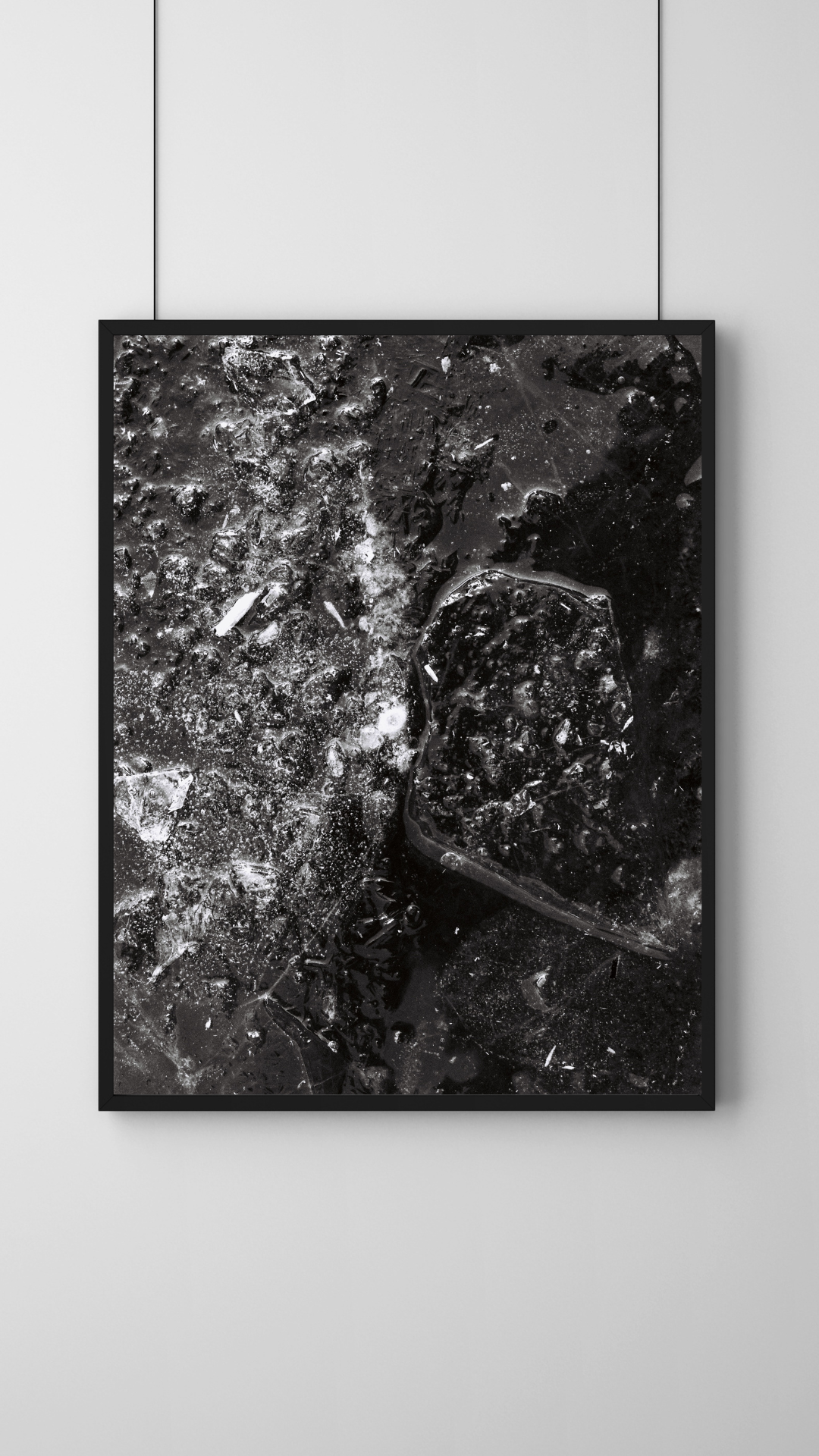 Grey Minimalist Botanical Photo Frame Mockup copie 3.png