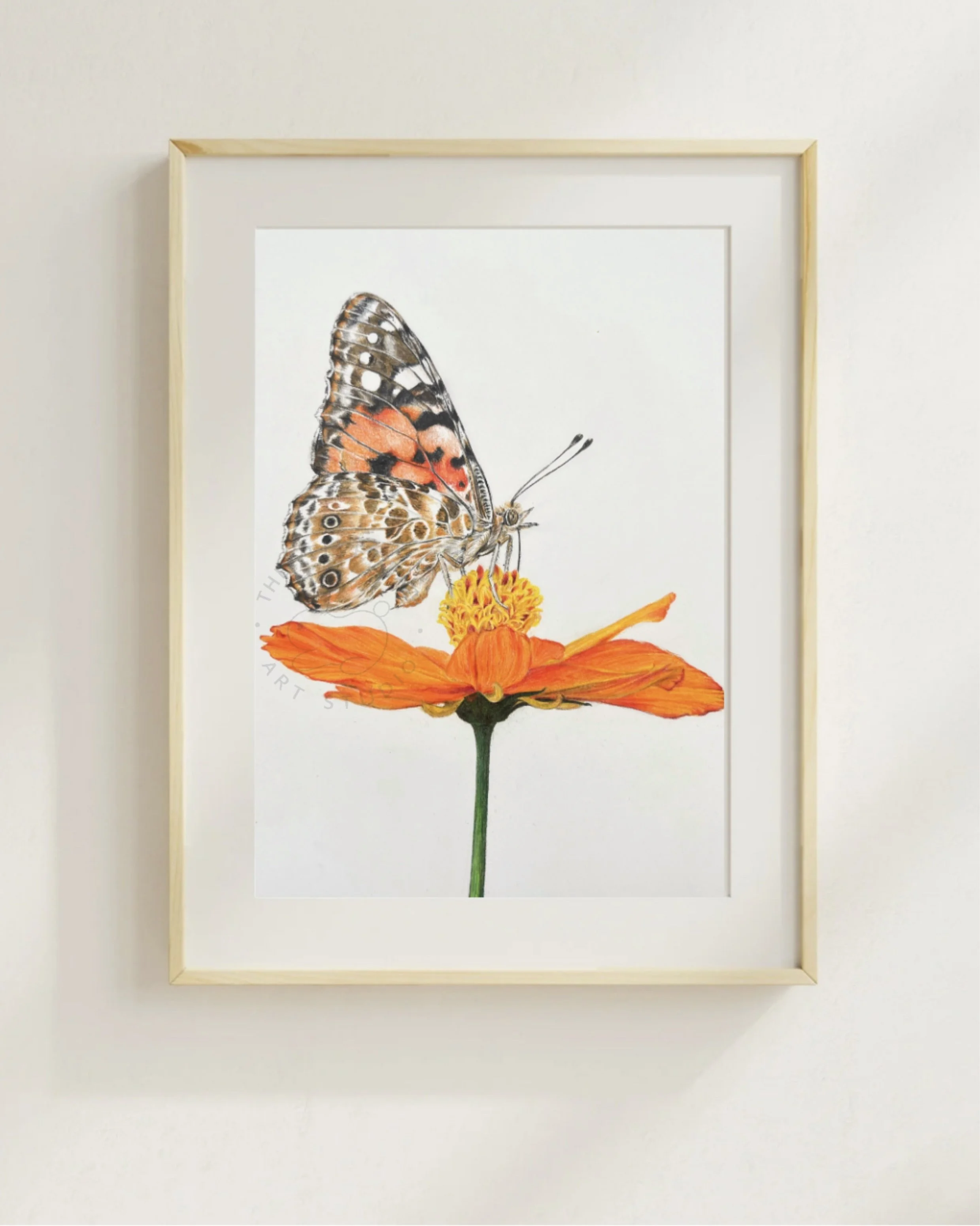 Vanessa Cardui Butterfly on Cosmo - Hand-signed Fine Art Print