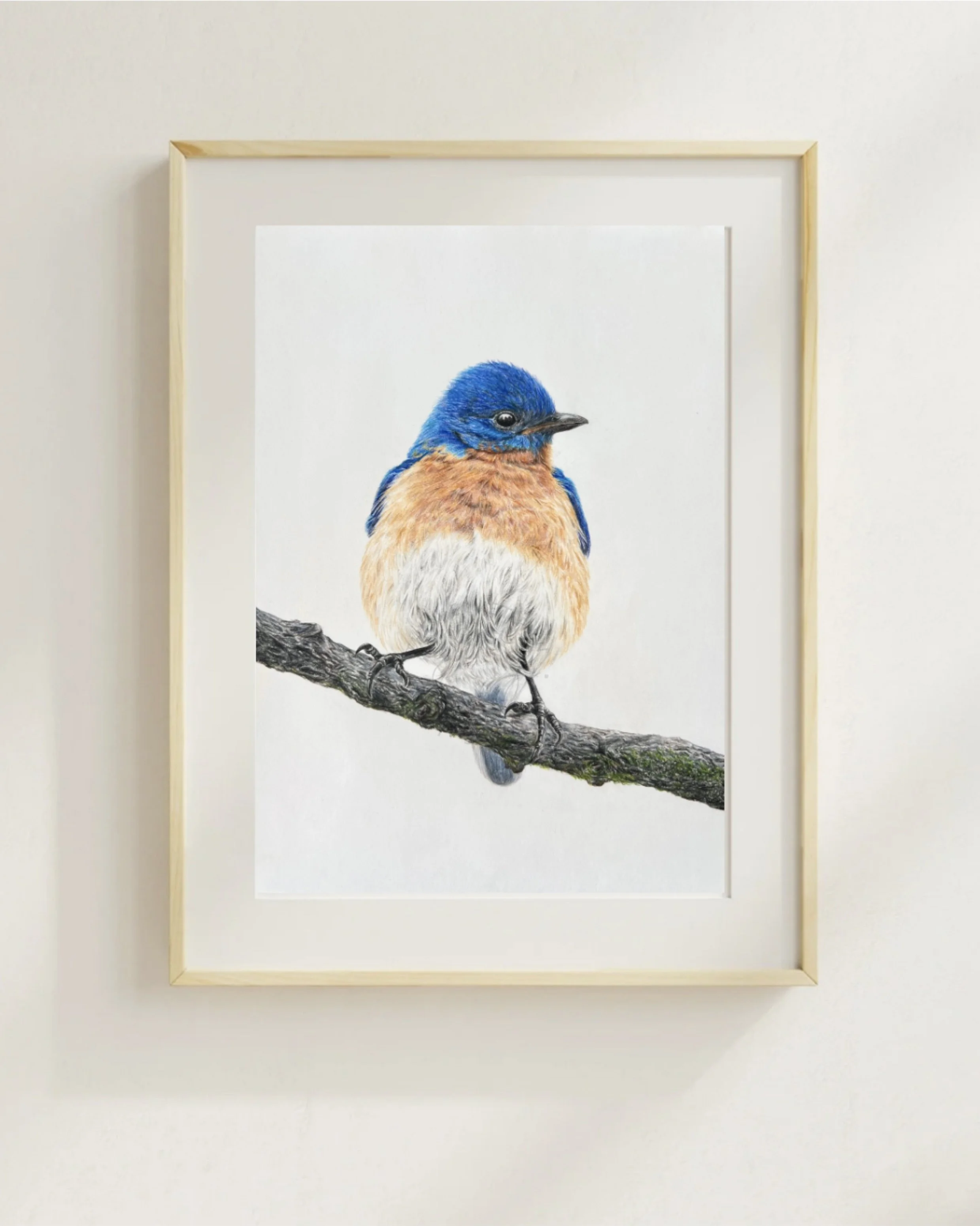 Eastern Bluebird - Hand-signed Fine Art Print